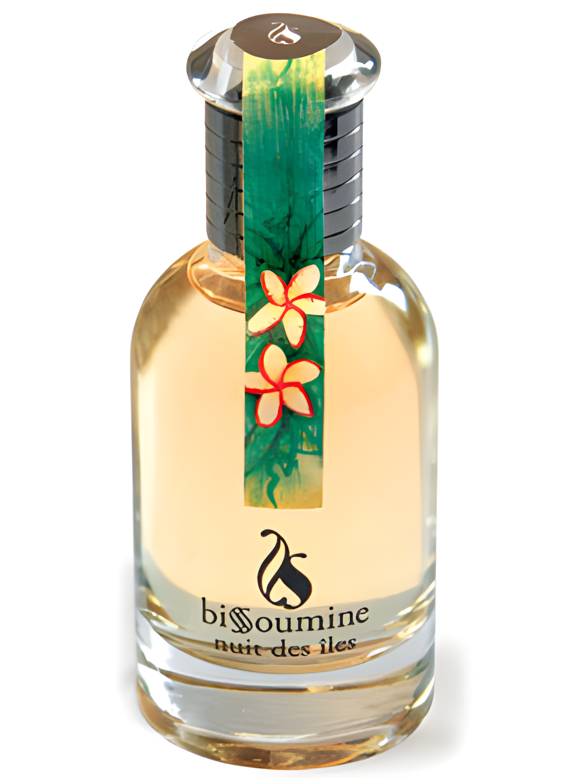 Nuit Des Iles by Bissoumine perfume bottle