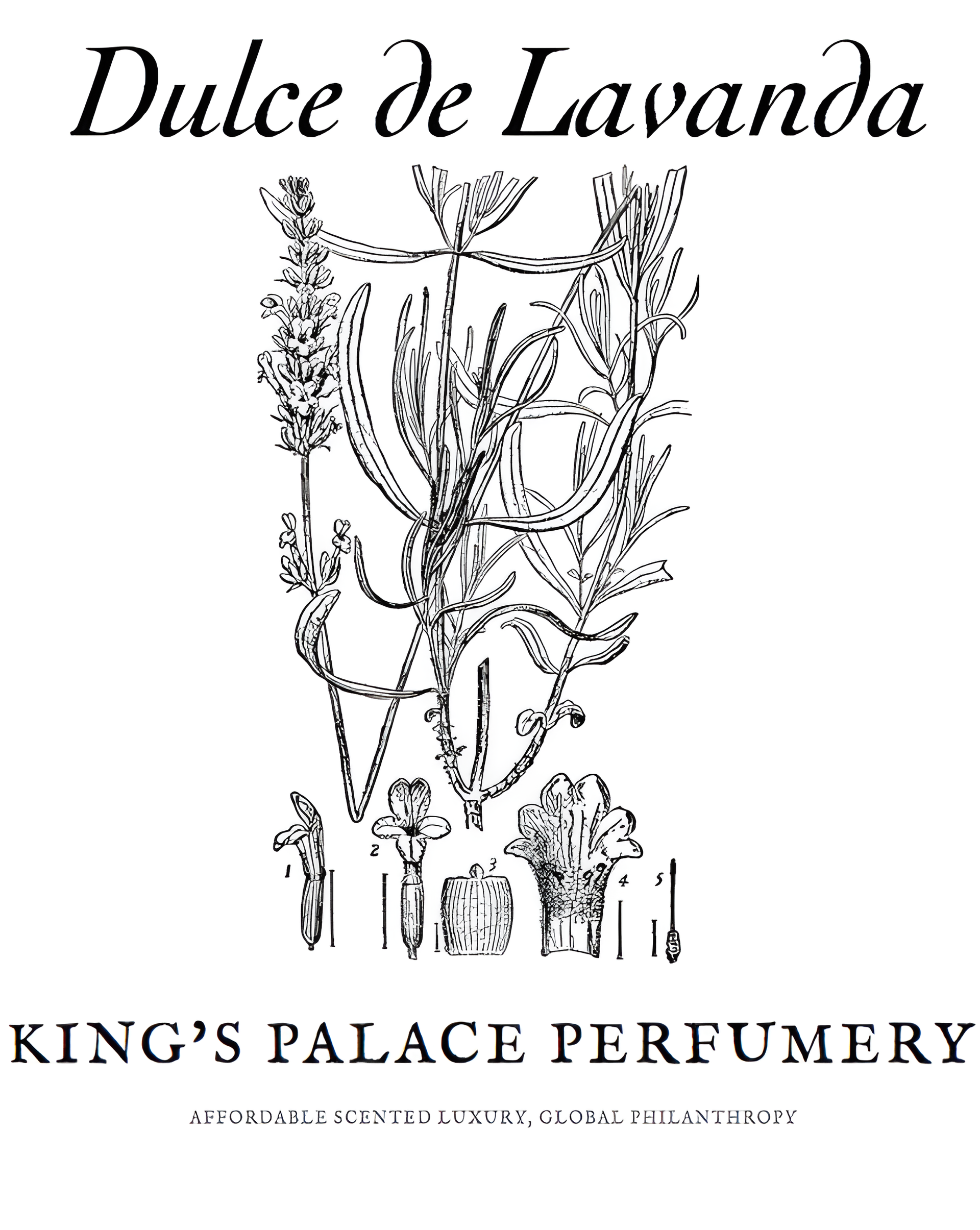 Dulce de Lavanda by King's Palace Perfumery perfume bottle