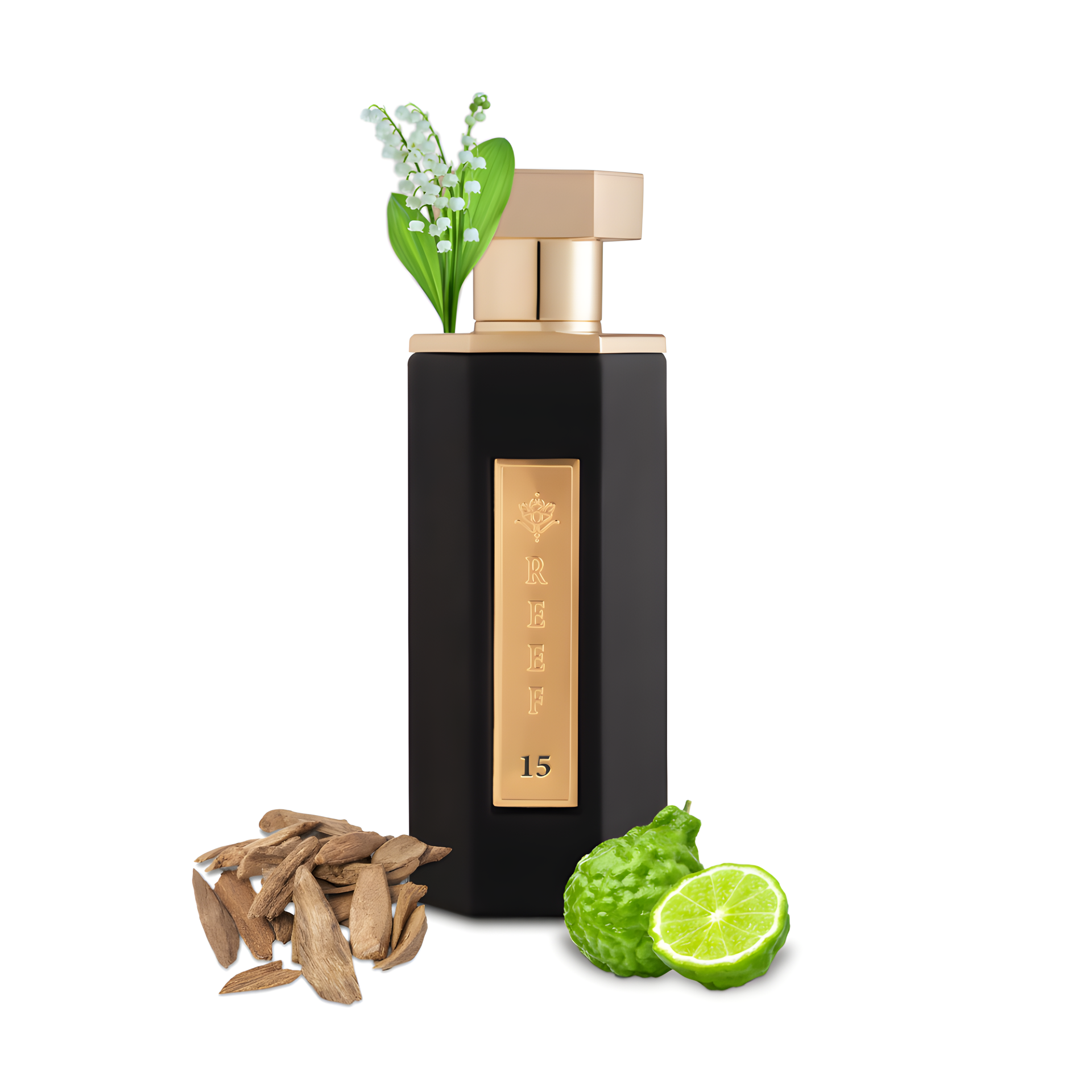 REEF15 by Reef Perfumes perfume bottle