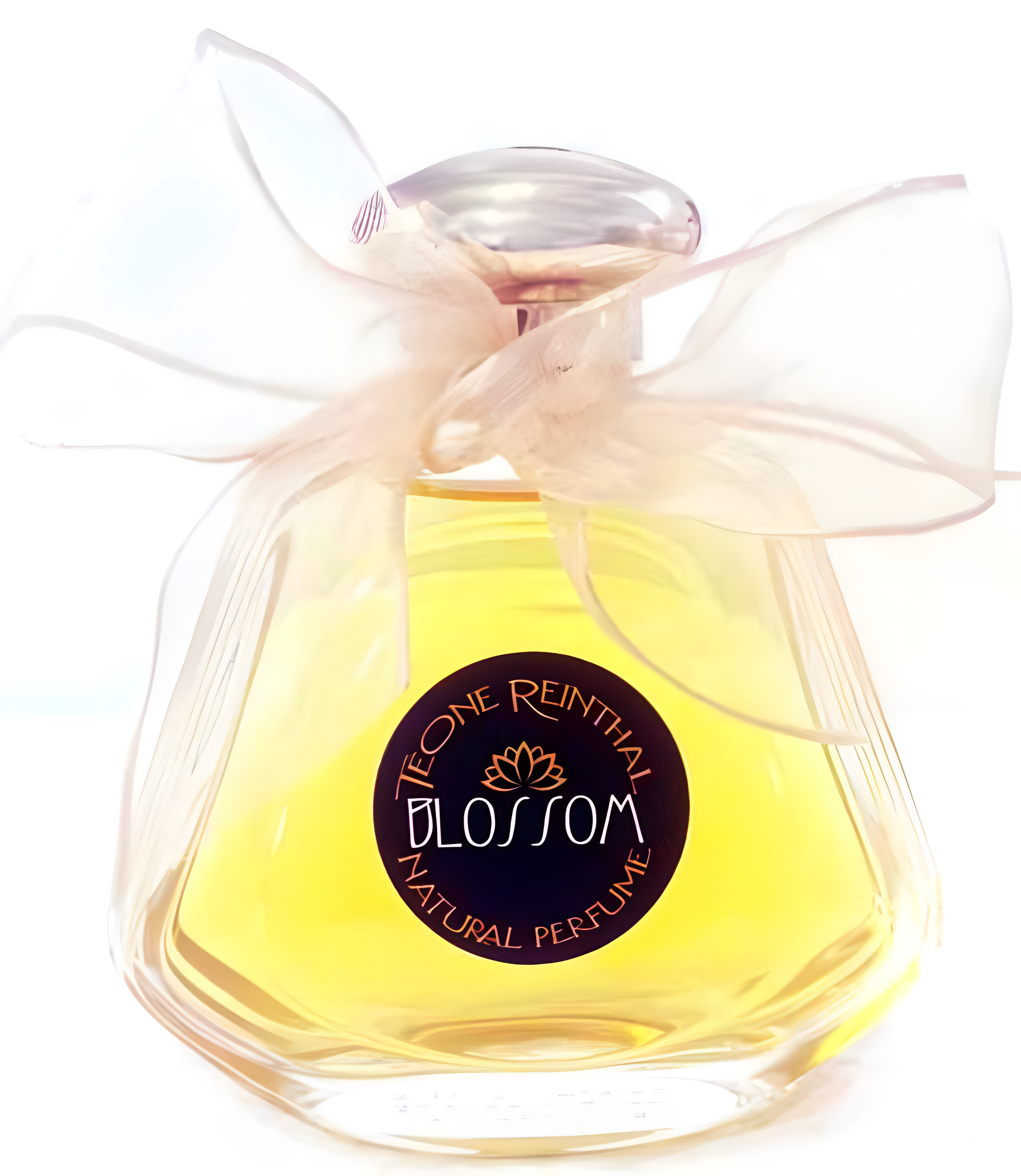 Blossom by TRNP perfume bottle