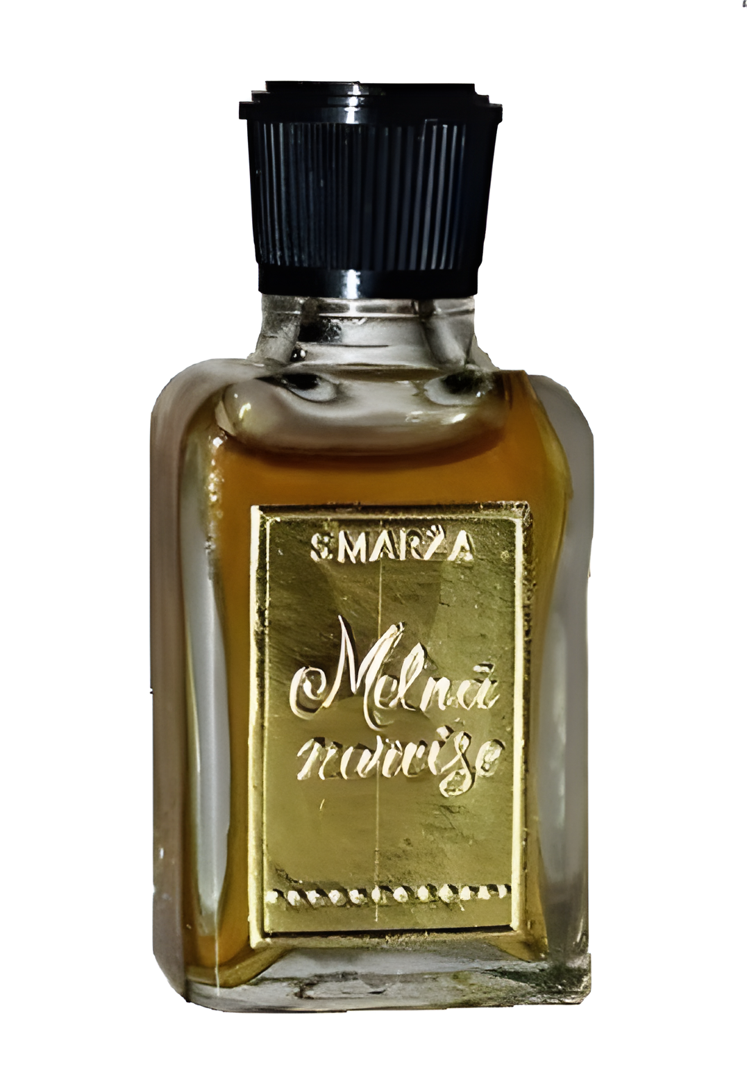 Melnā Narcise (Чёрный Нарцисс) by Dzintars perfume bottle