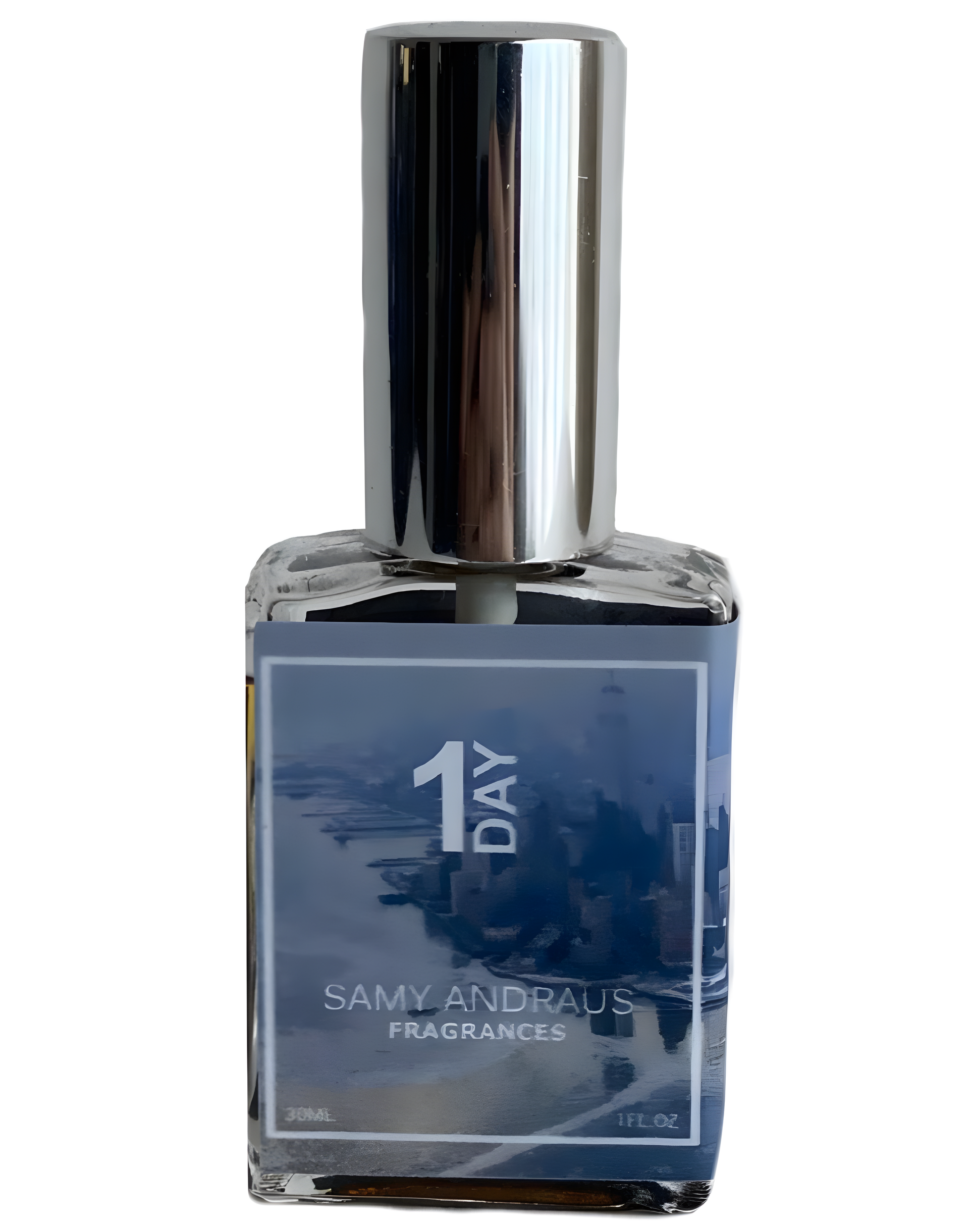 1Day by Samy Andraus Fragrances perfume bottle