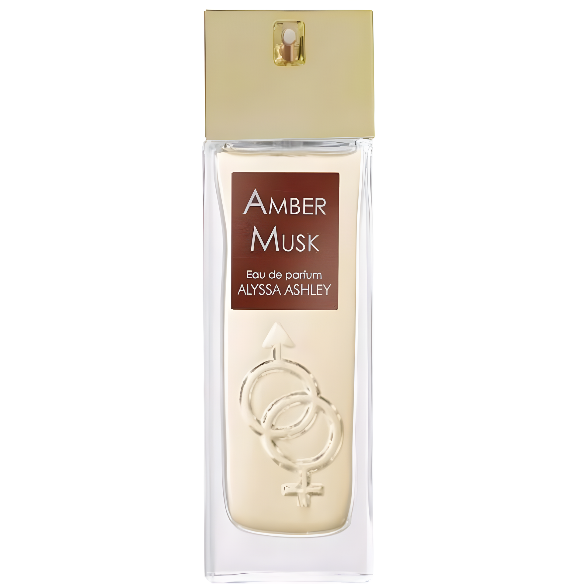 Amber Musk by Alyssa Ashley perfume bottle