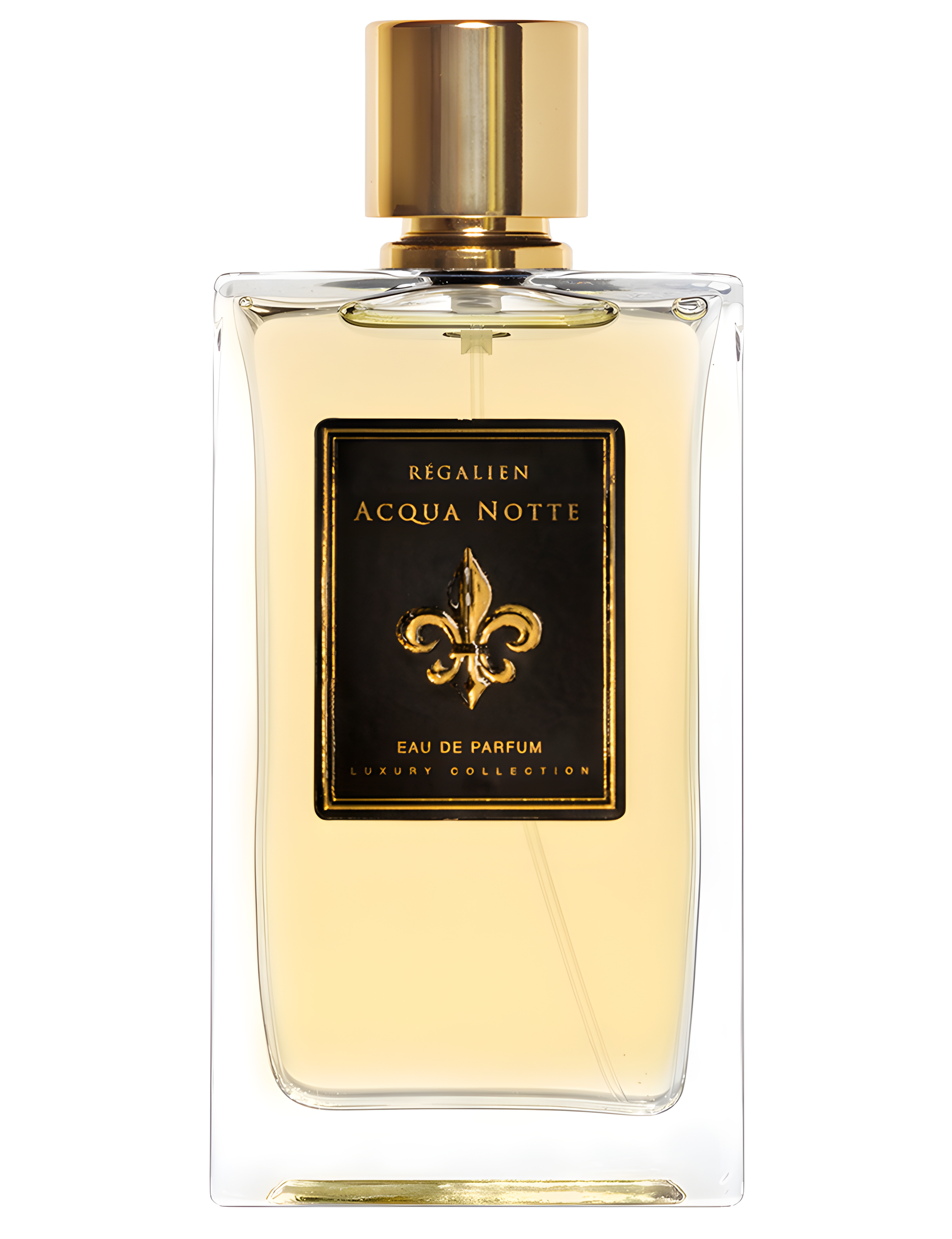 Aqua Notte by Regalien perfume bottle