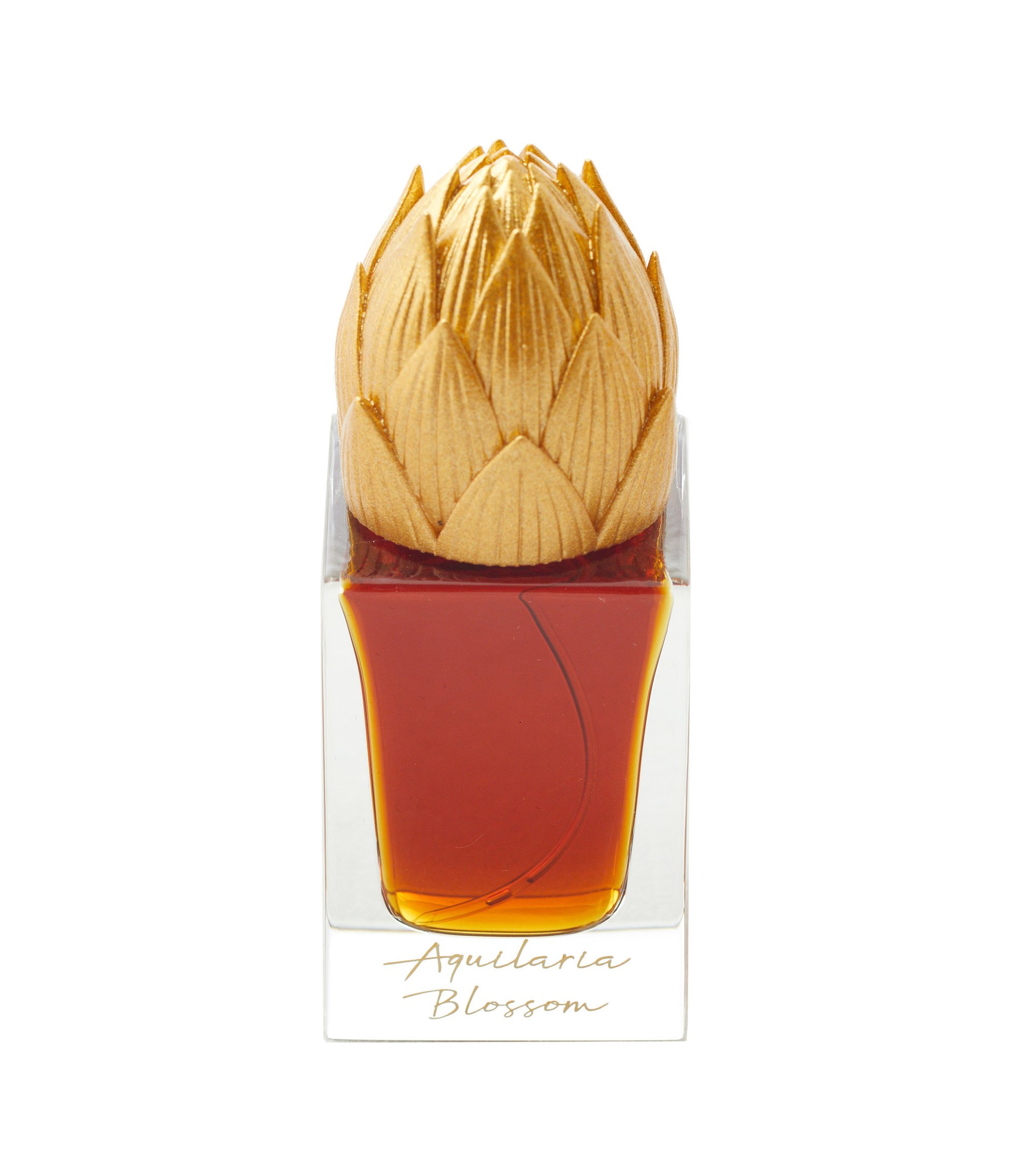Aquilaria Blossom by Areej Le Doré perfume bottle