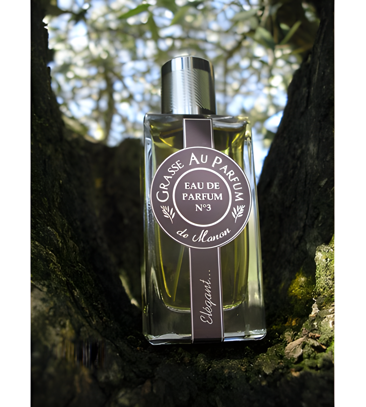 No 3 Elegant by Grasse Au Parfum perfume bottle