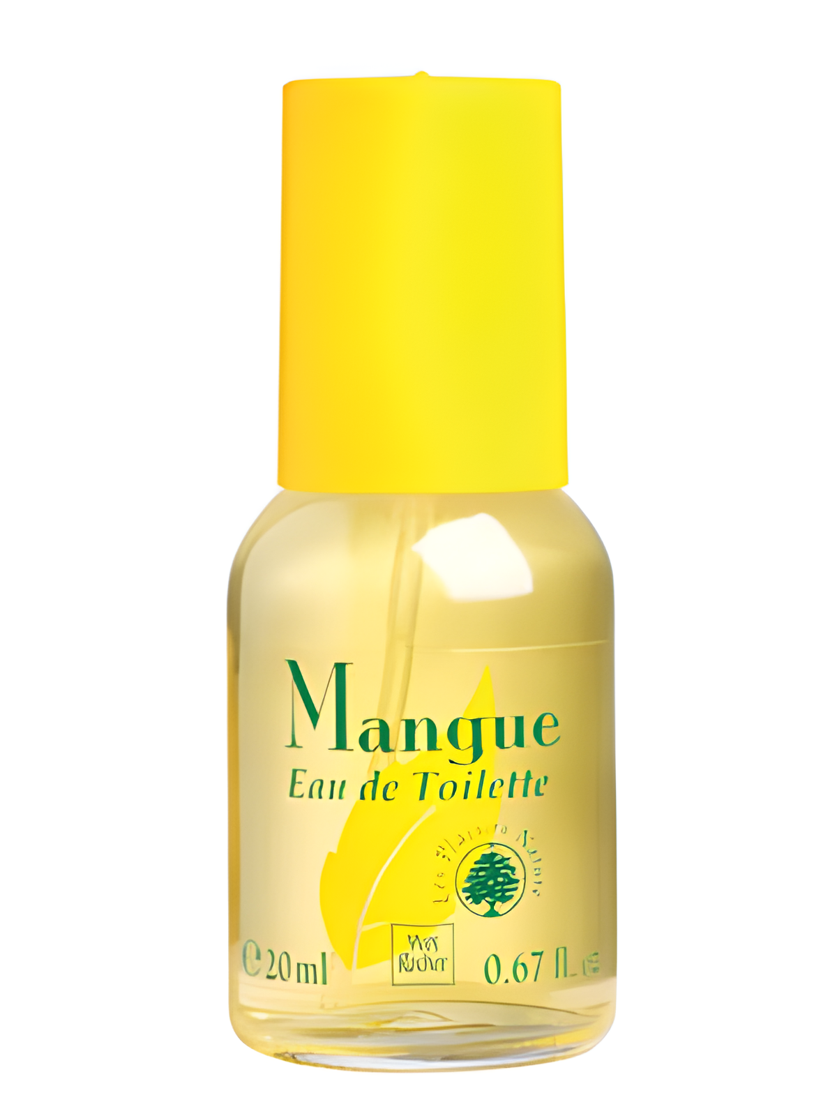 Mangue by Yves Rocher perfume bottle