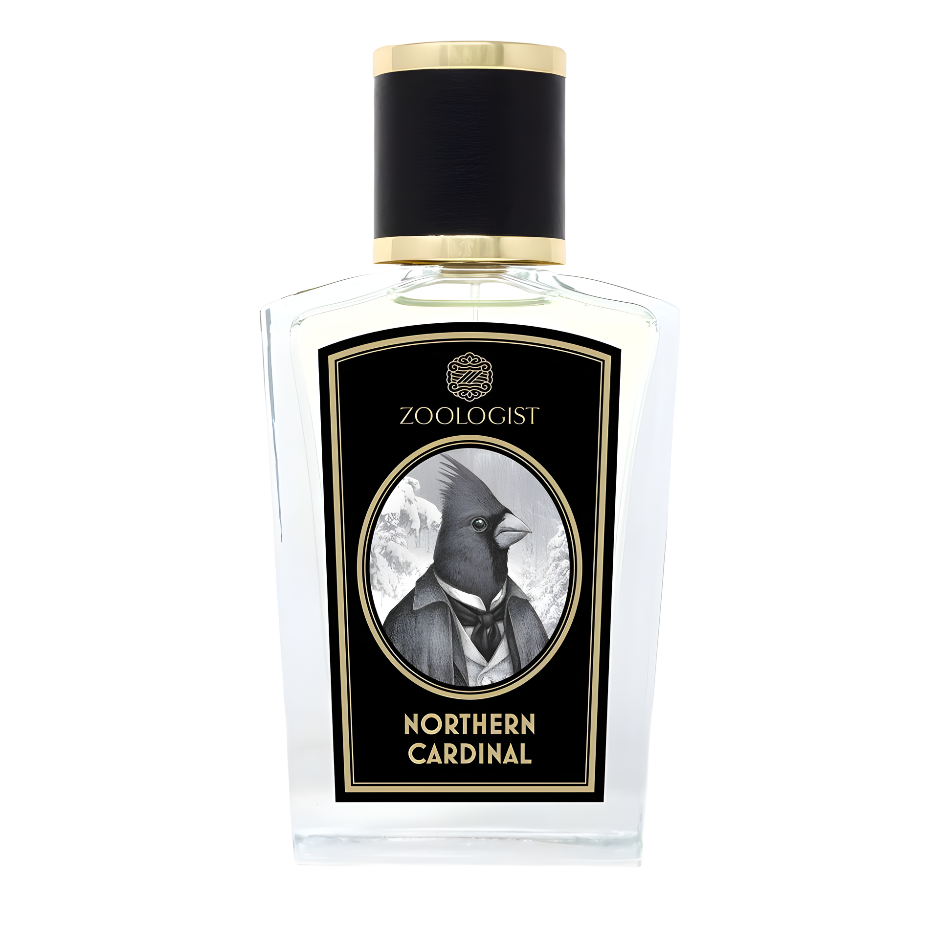 Northern Cardinal by Zoologist Perfumes perfume bottle