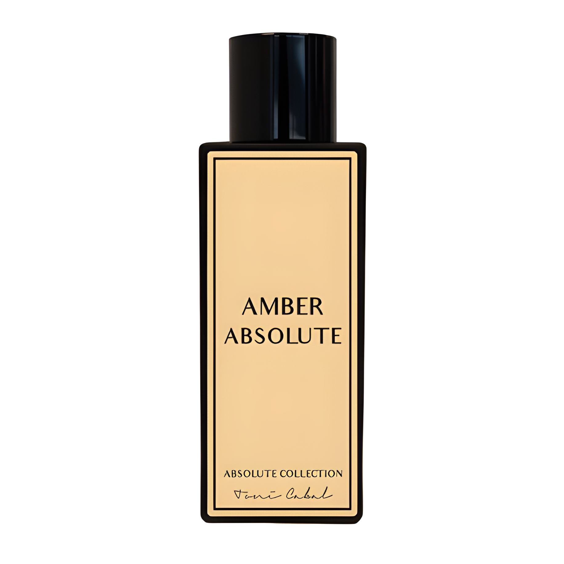 Amber Absolute by Toni Cabal perfume bottle