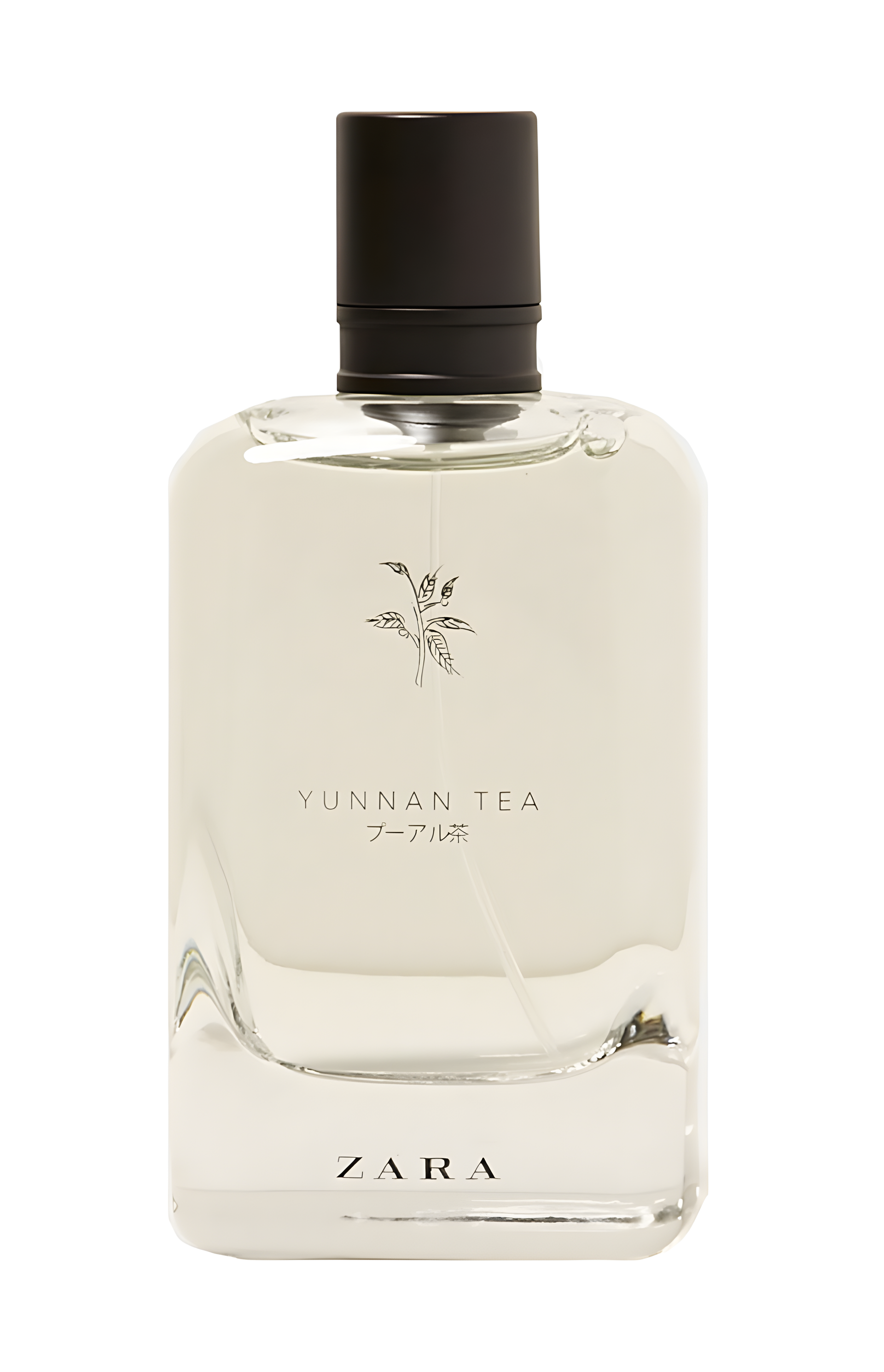 Yunnan Tea by Zara perfume bottle