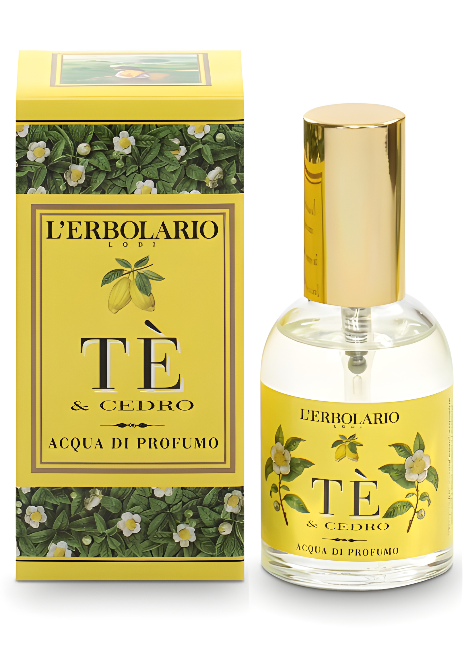 Tè & Cedro by L'Erbolario perfume bottle
