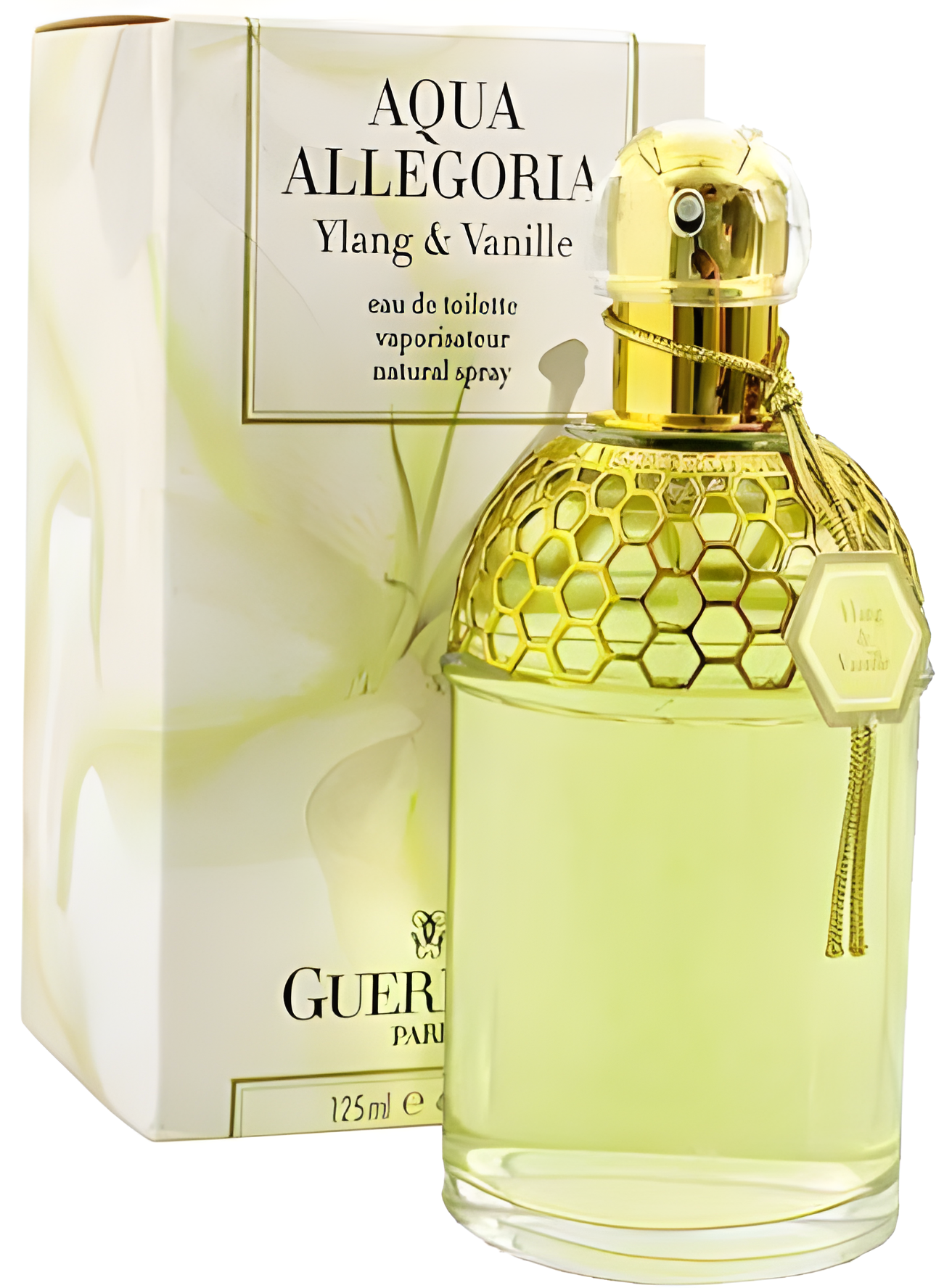 Aqua Allegoria Ylang & Vanille by Guerlain perfume bottle