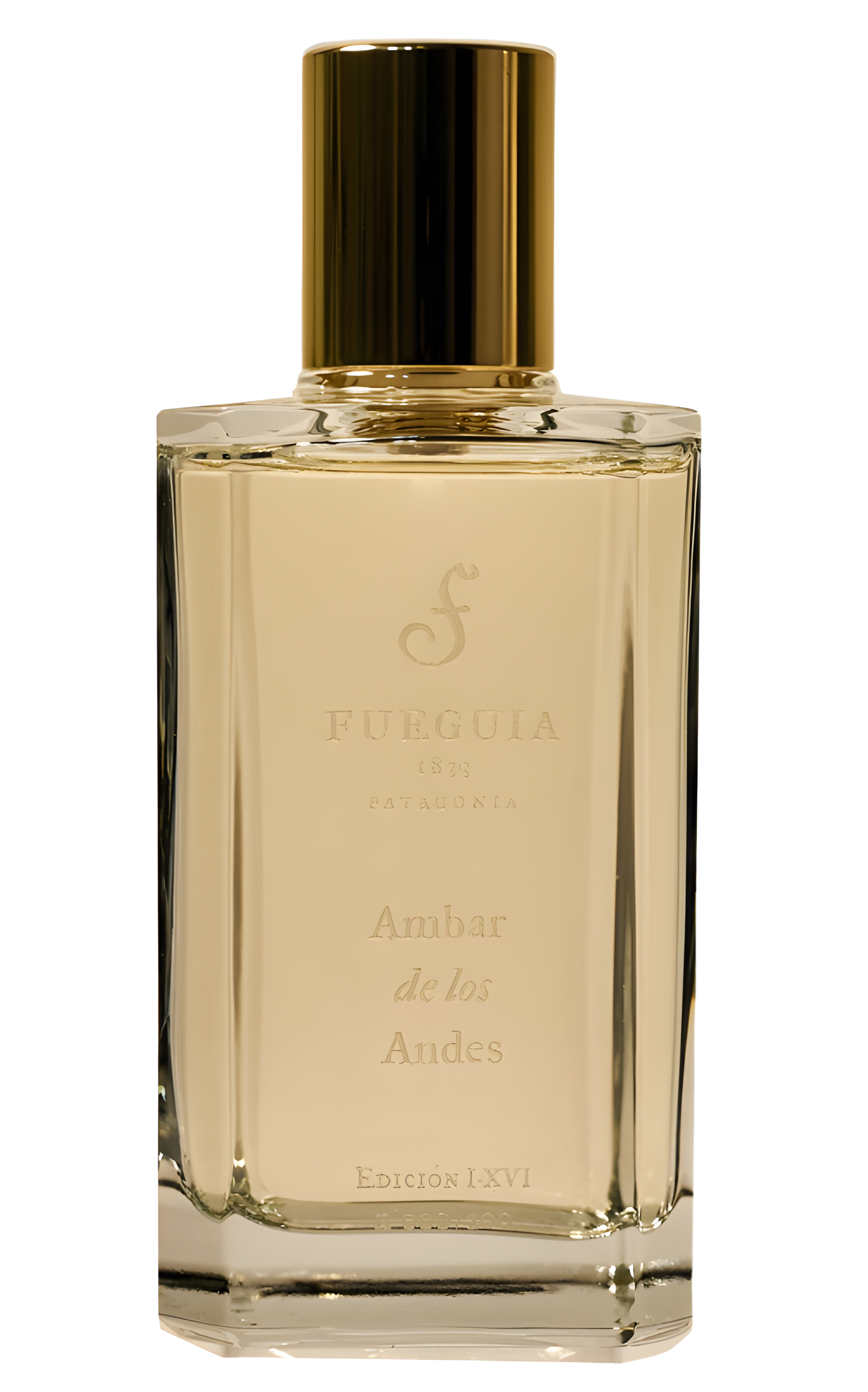 Ambar de Los Andes by Fueguia 1833 perfume bottle