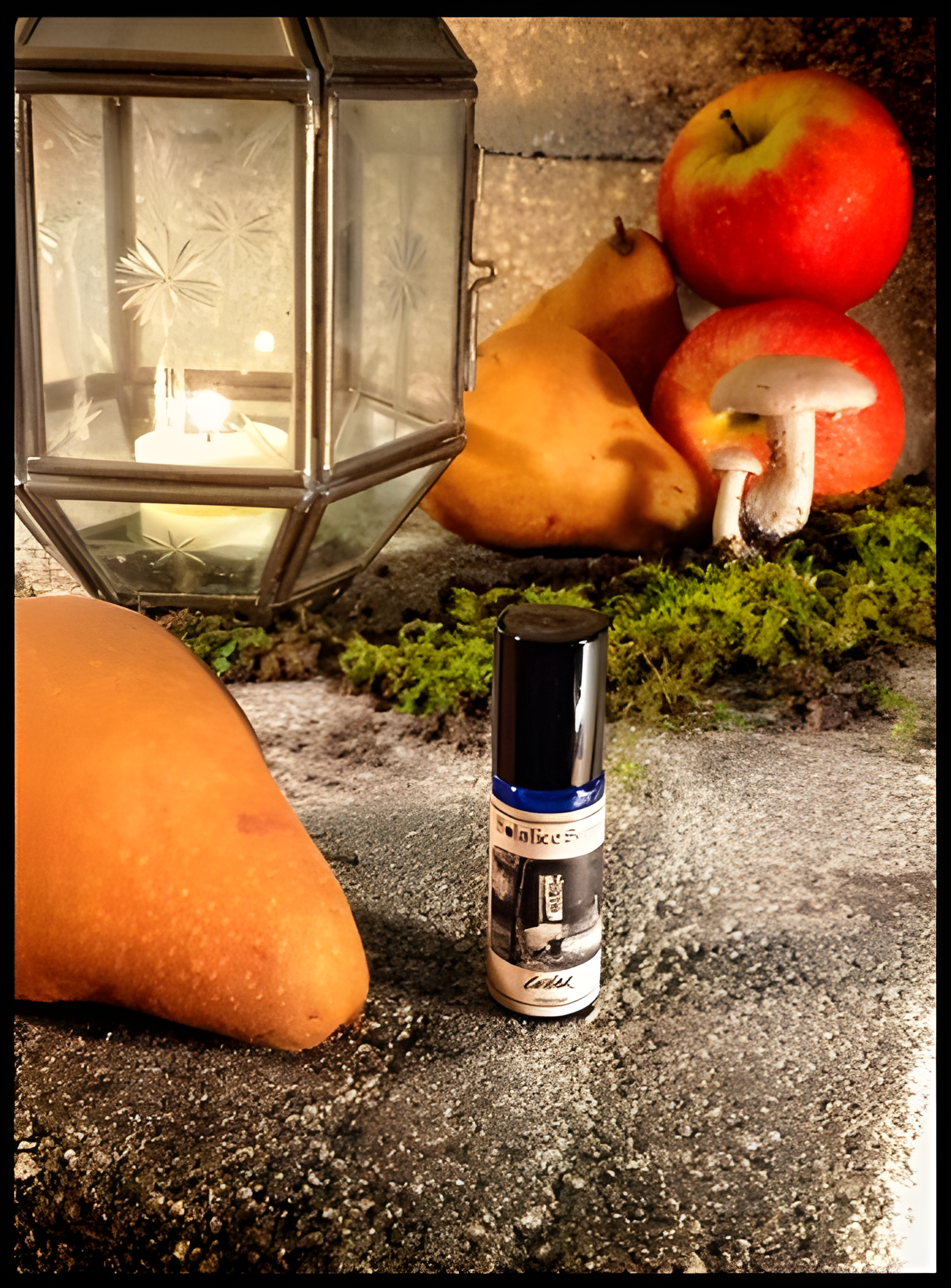Cellar by Solstice Scents perfume bottle