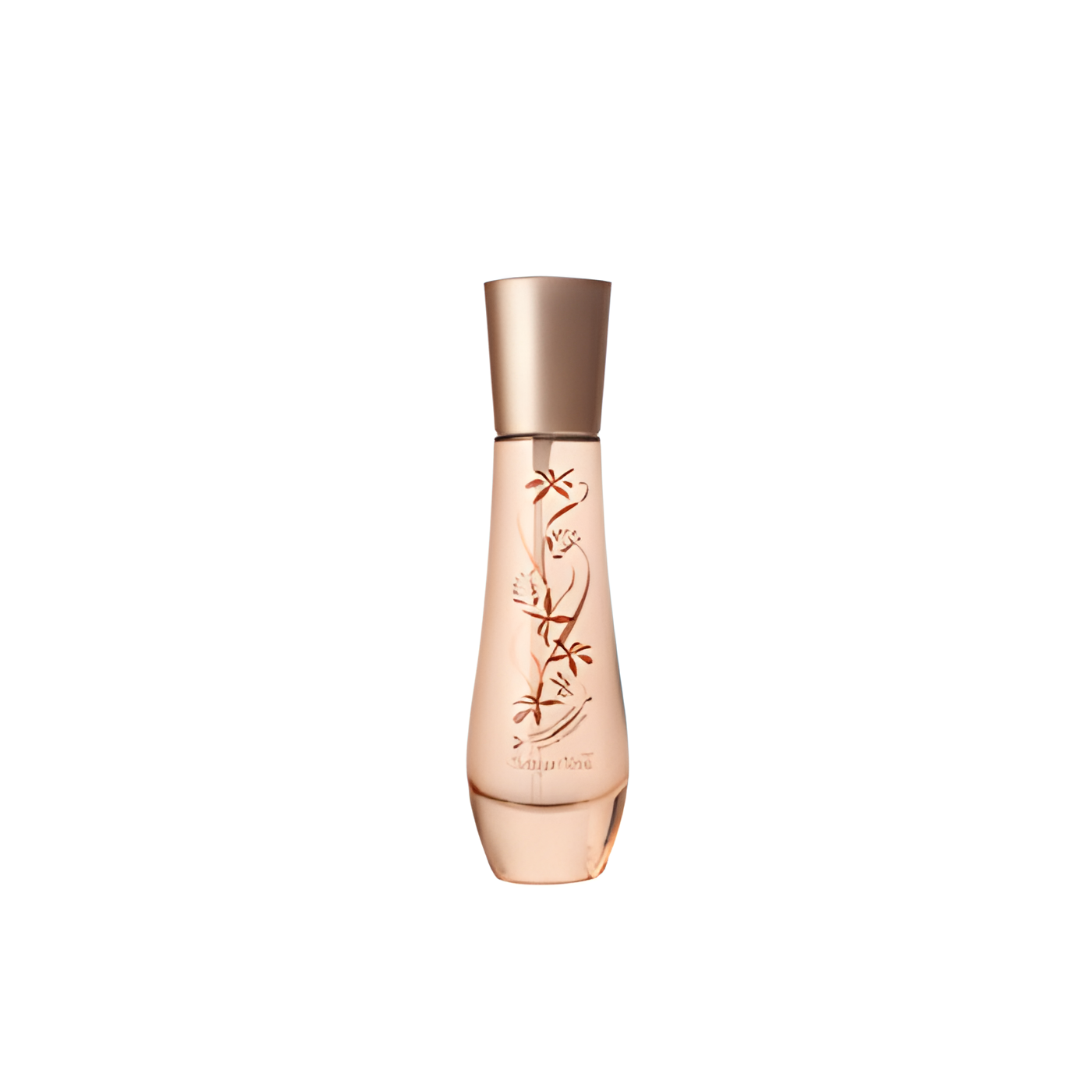 Vaniglia Nera by Bottega Verde perfume bottle