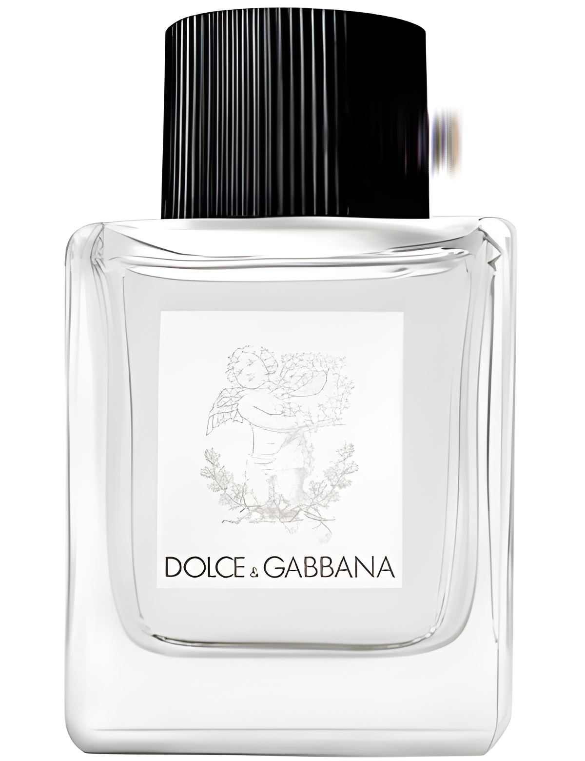 Dolce&Gabbana Perfume for Babies by Dolce&Gabbana