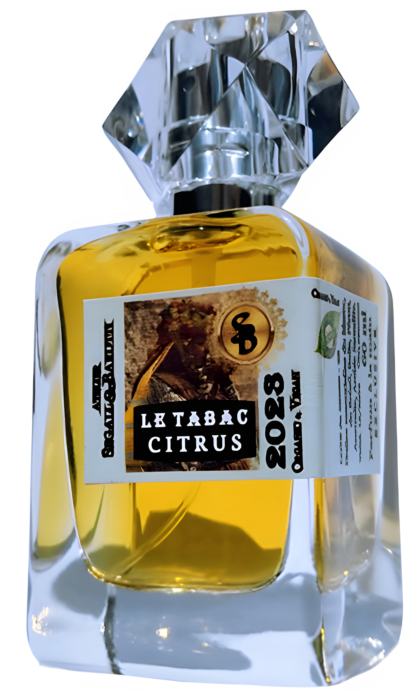 Le Tabac & Citrus by Atelier Segall & Barutti perfume bottle