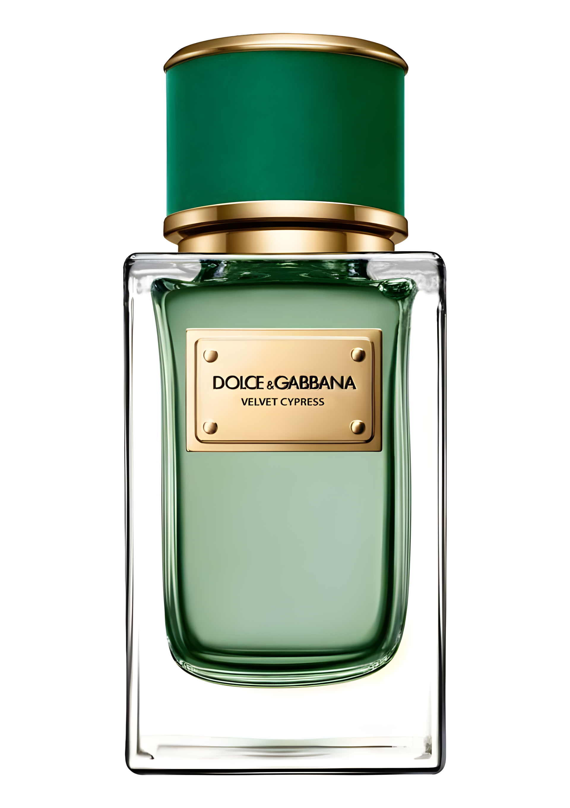 Velvet Cypress by Dolce&Gabbana perfume bottle