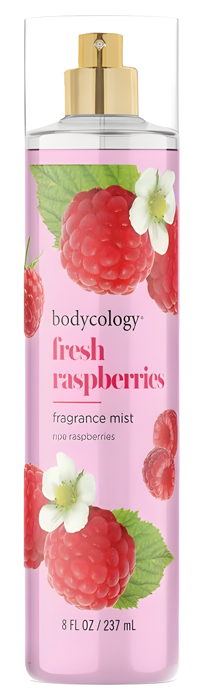 Fresh Raspberries by Bodycology perfume bottle
