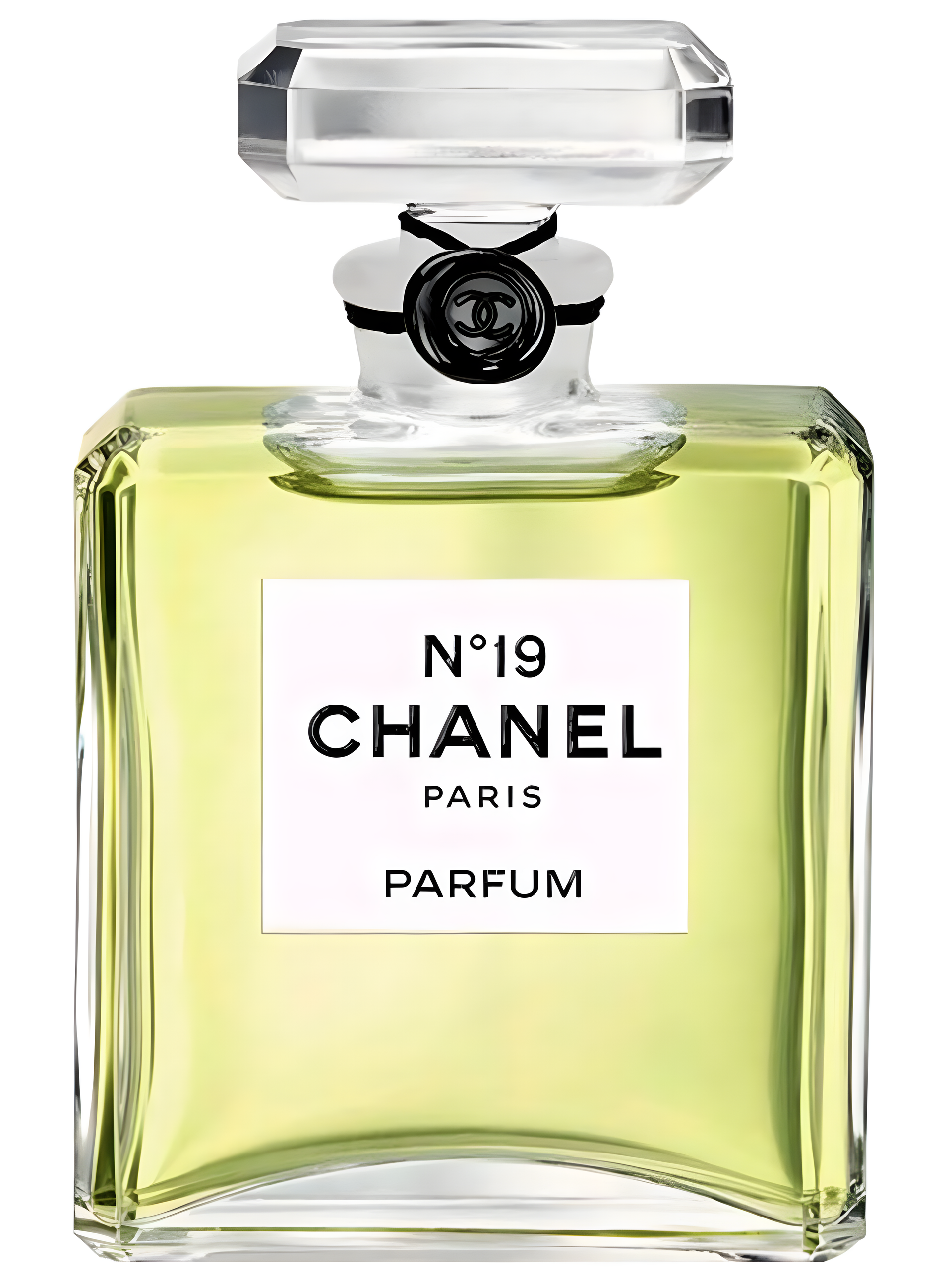 Chanel No 19 Parfum by Chanel perfume bottle