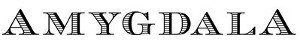 Picture of Amygdala brand