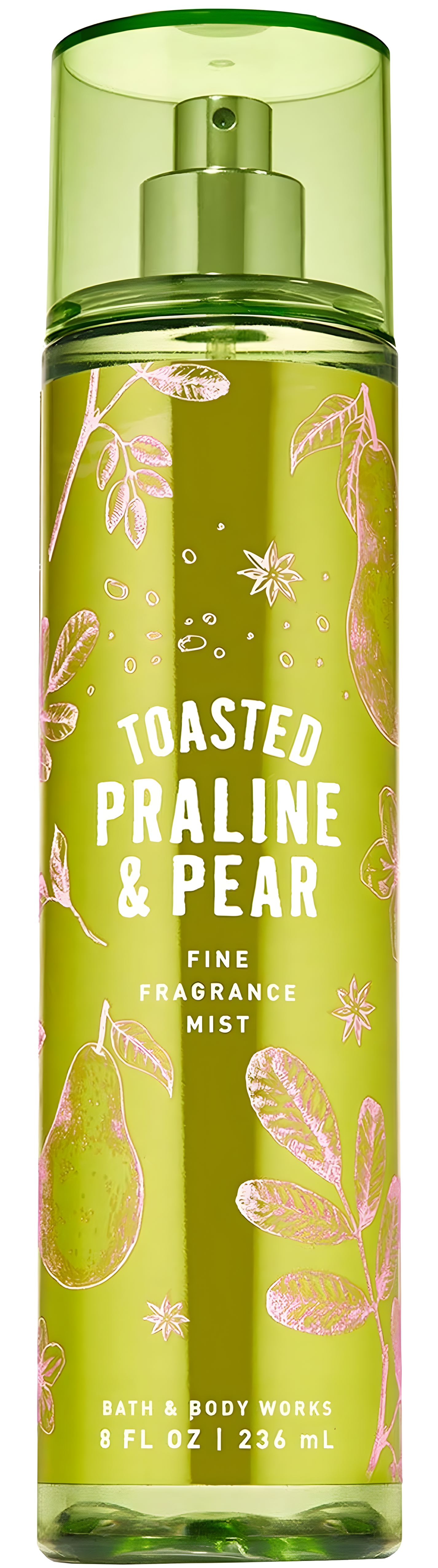 Toasted Praline & Pear by Bath & Body Works perfume bottle