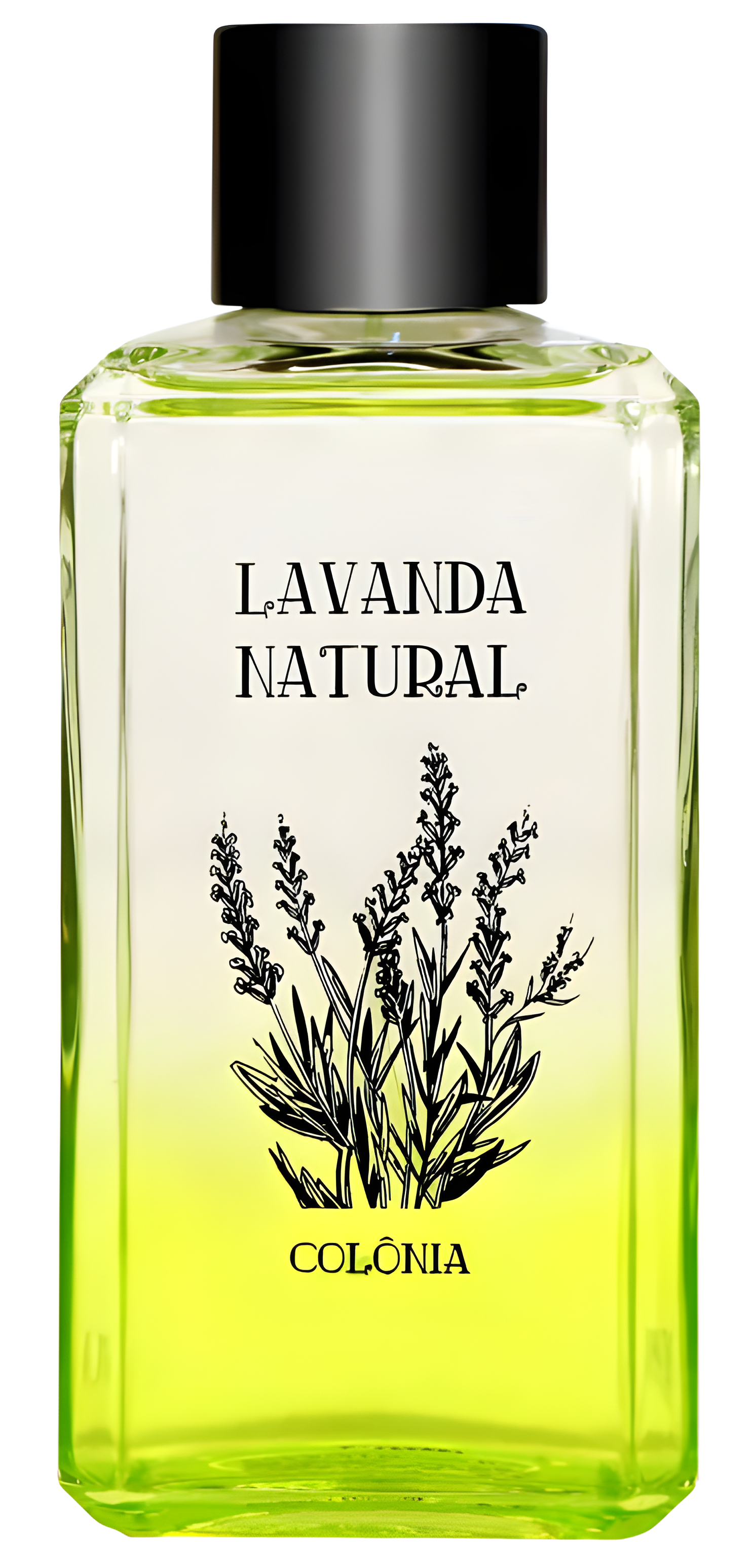 Lavanda Natural by Phebo perfume bottle