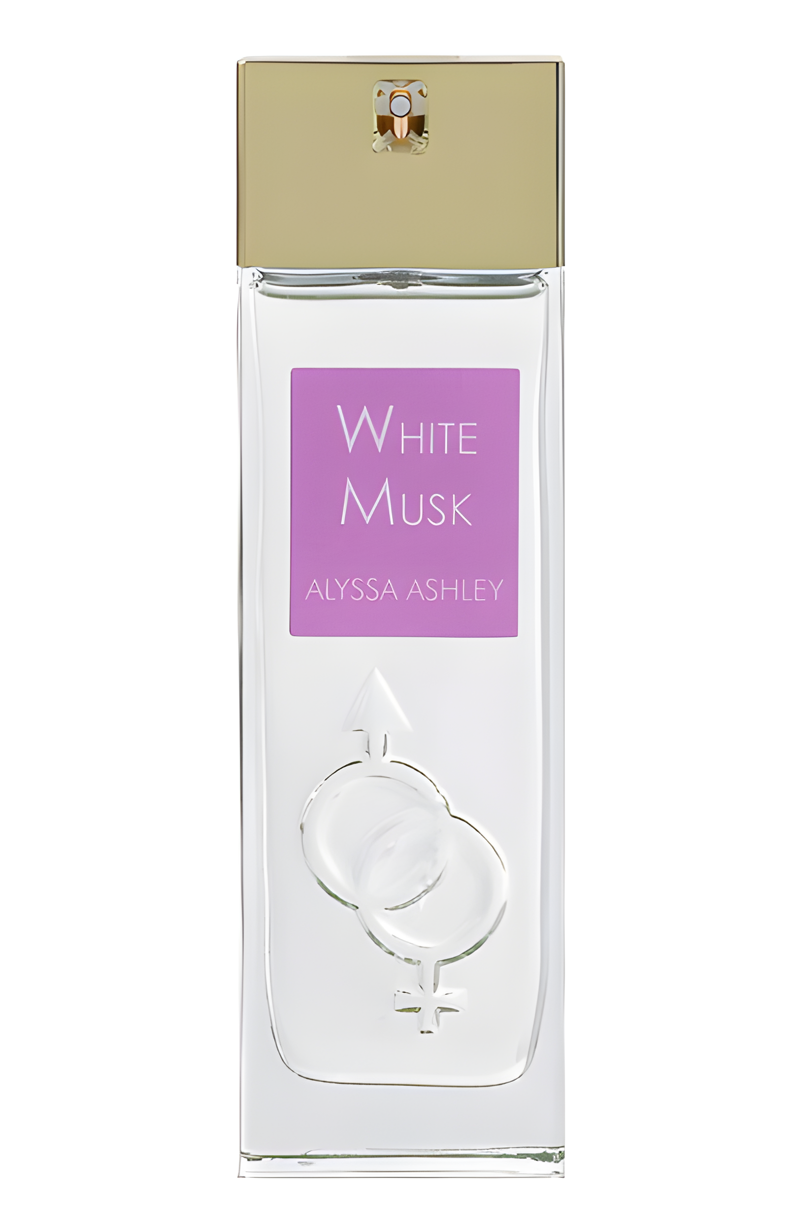 White Musk Eau de Parfum by Alyssa Ashley perfume bottle