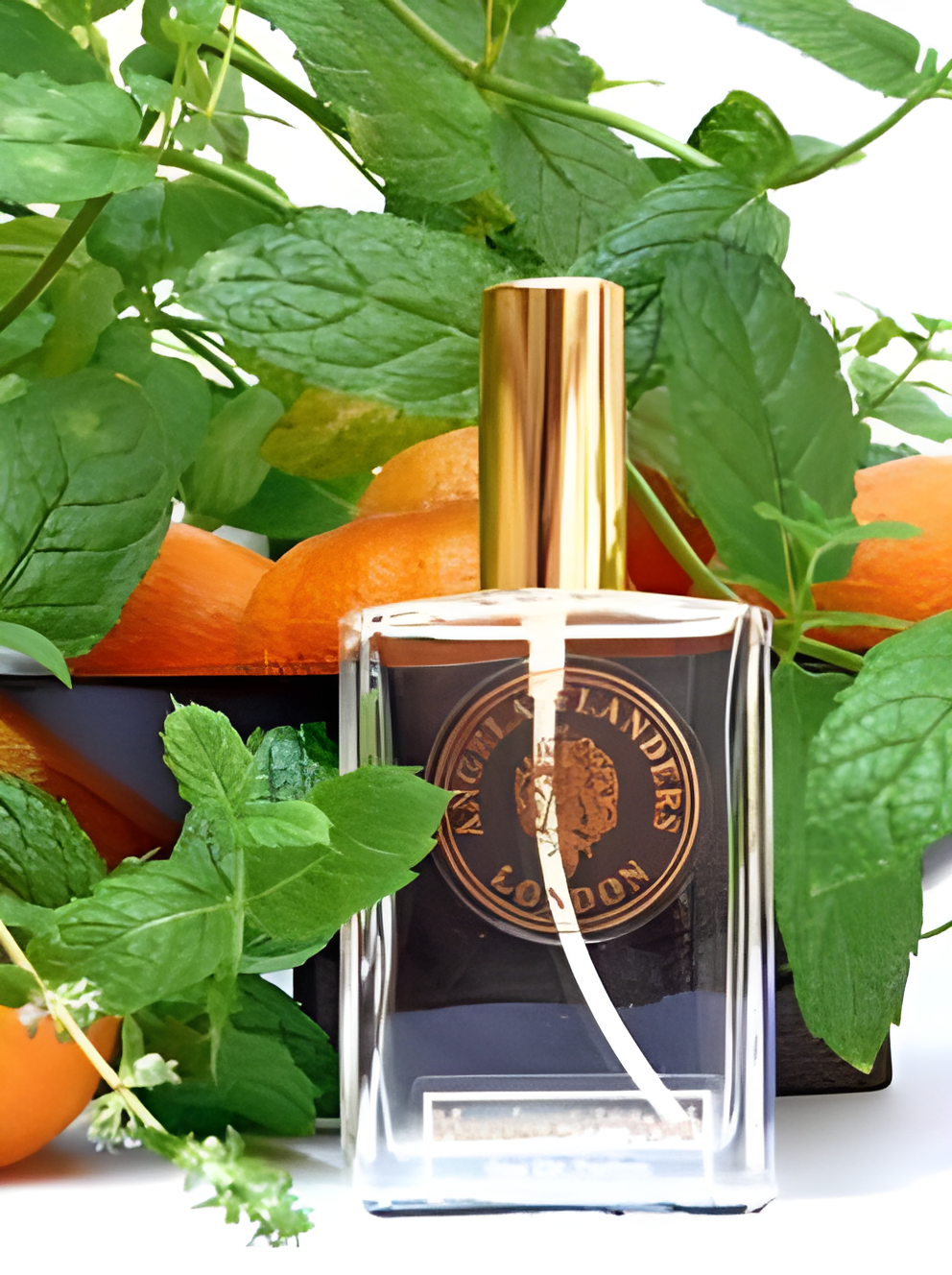 Mandarin & Mint by Angela Flanders perfume bottle