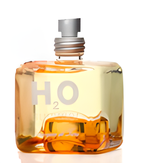 H2O Summer by L'acqua di Fiori perfume bottle