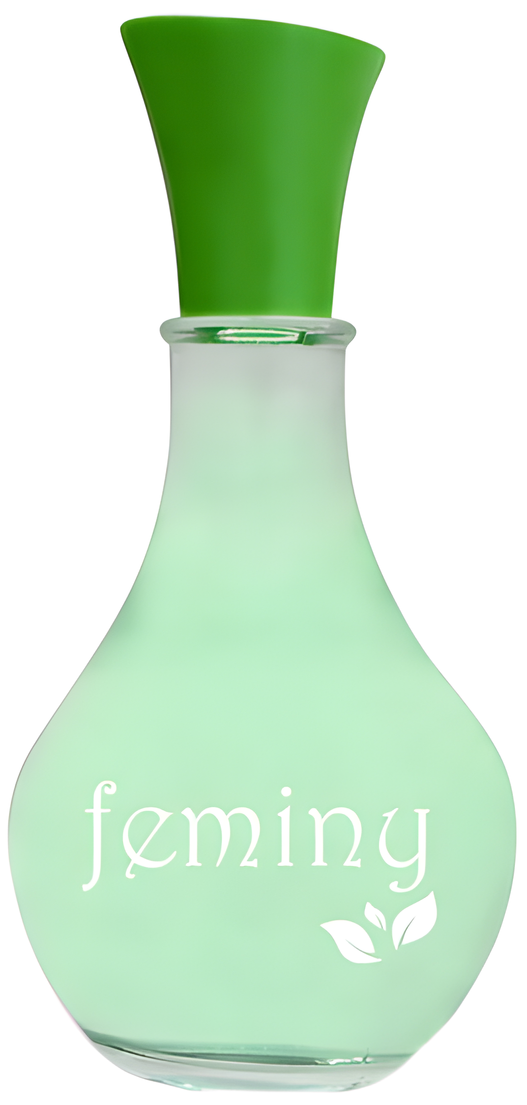 Feminy by Blosson Ville perfume bottle