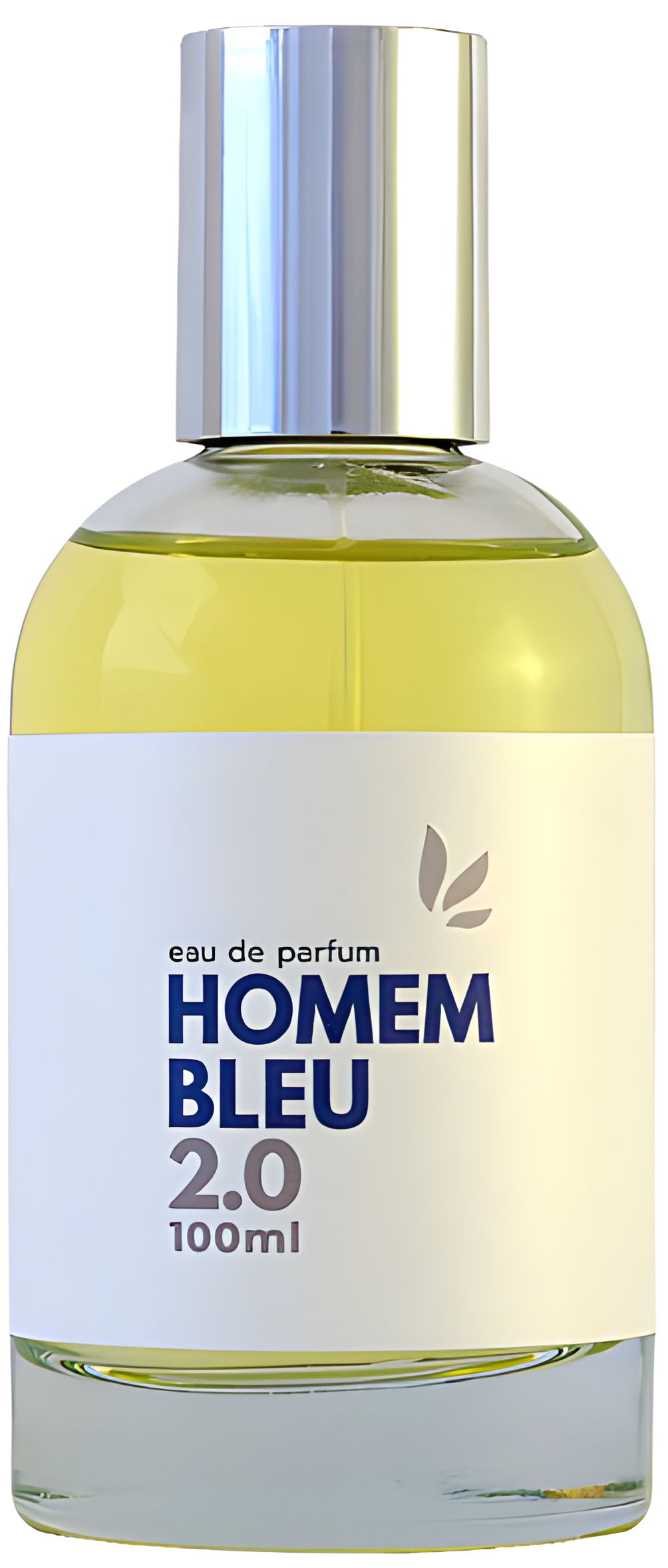 Bleu 2.0 by Maracujá Brasil perfume bottle