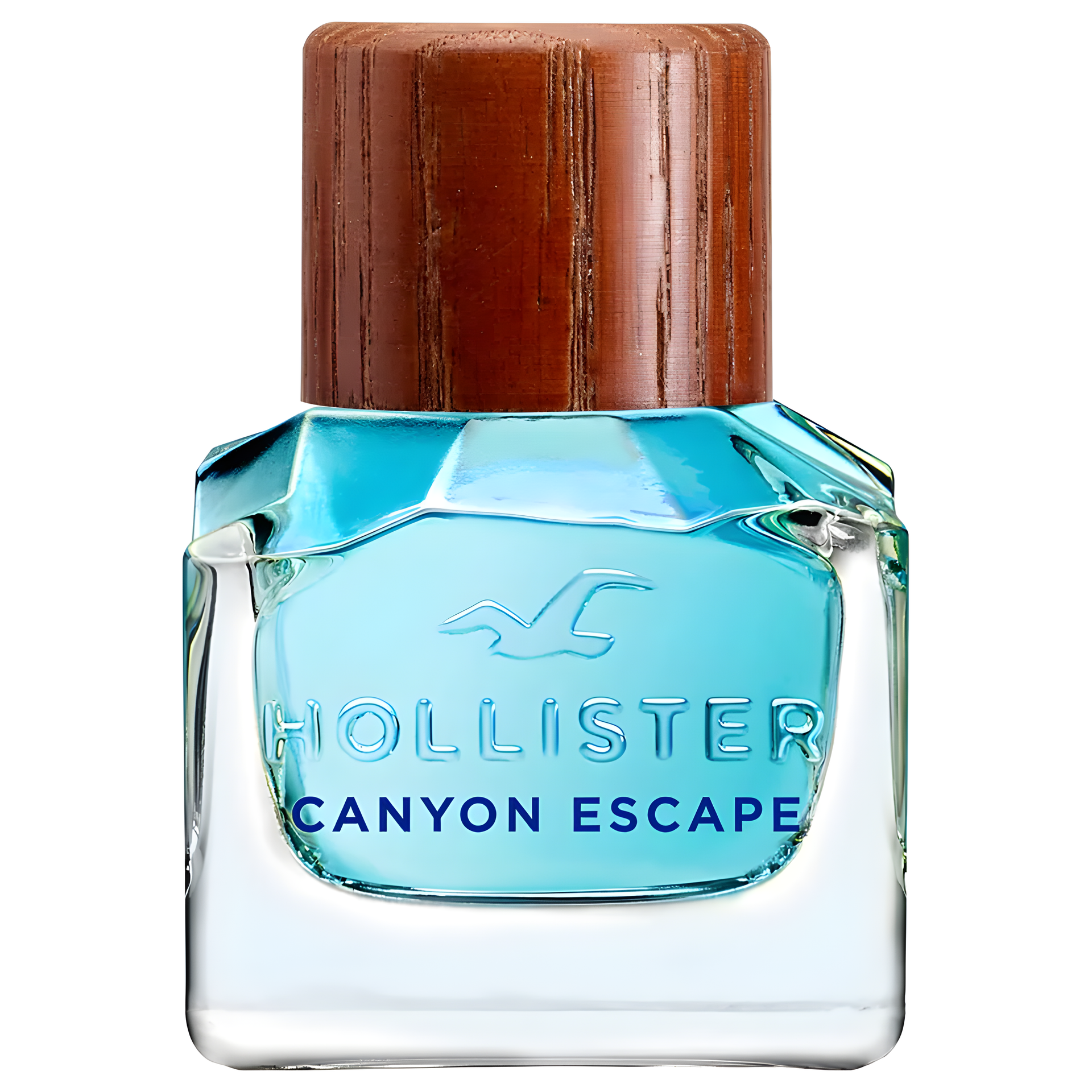 Hollister Canyon Escape Man by Hollister perfume bottle
