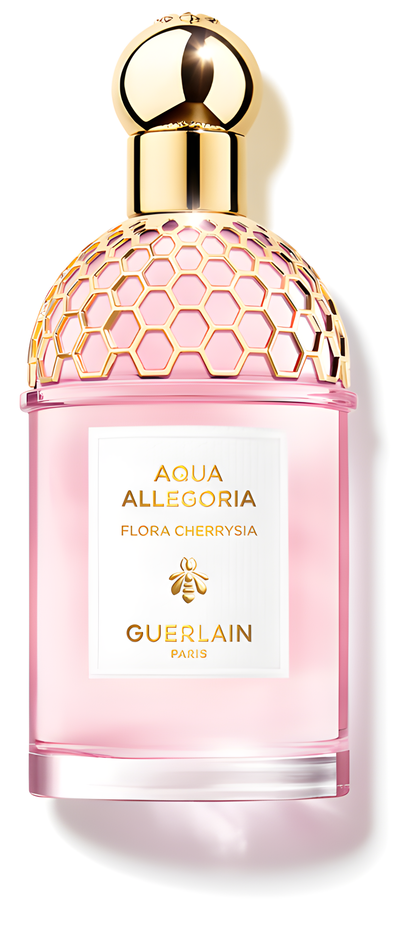 Aqua Allegoria Flora Cherrysia by Guerlain perfume bottle