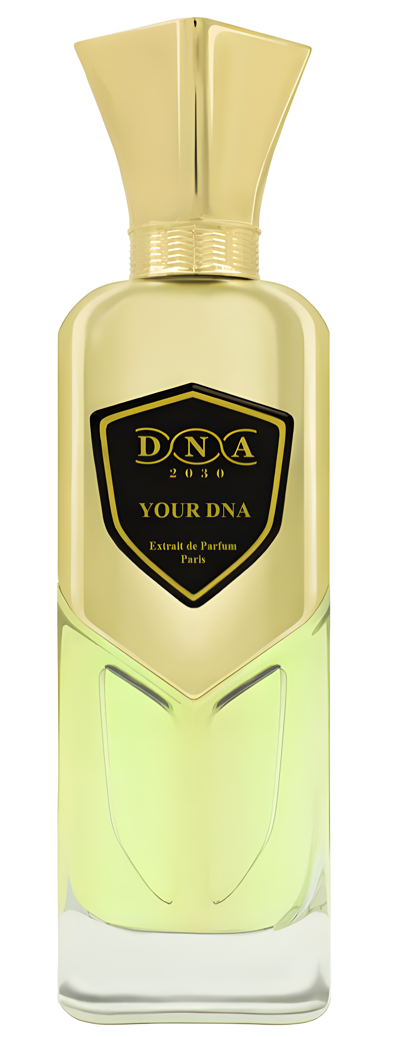 Your DNA by Sir Parfumer DNA 2030 perfume bottle