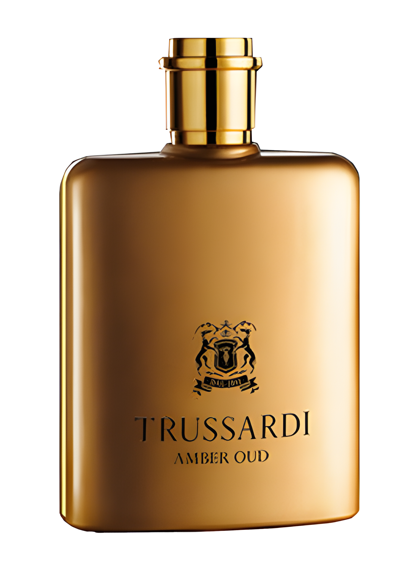 Trussardi Amber Oud by Trussardi perfume bottle