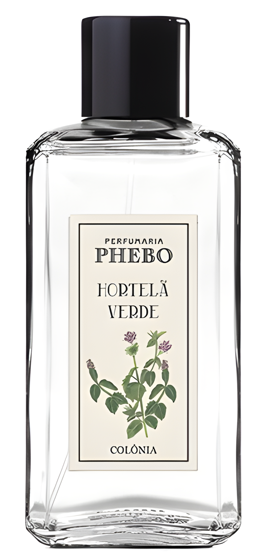 Hortelã Verde by Phebo perfume bottle
