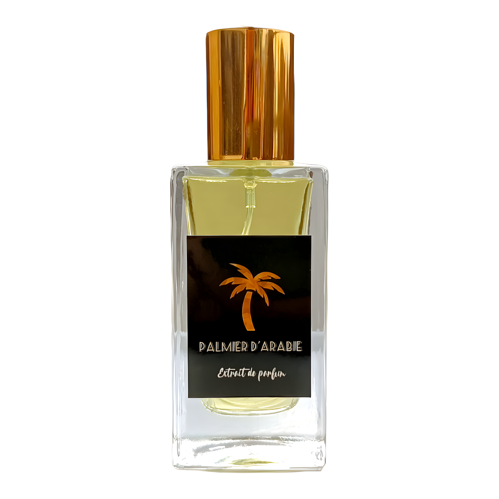 Palmier D'Arabie by Ô Médina Perfumery perfume bottle