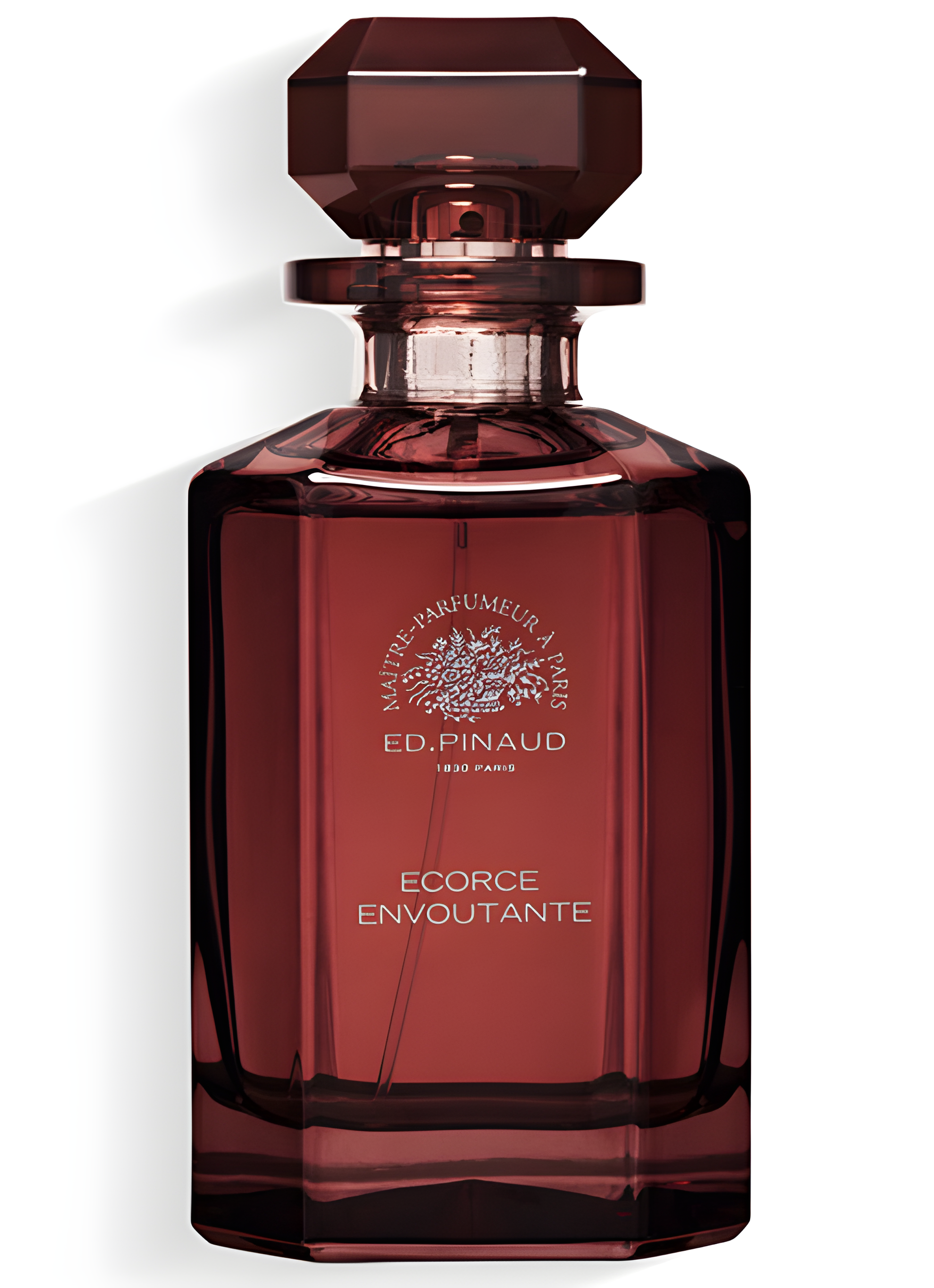 Écorce Envoutante by Ed Pinaud perfume bottle