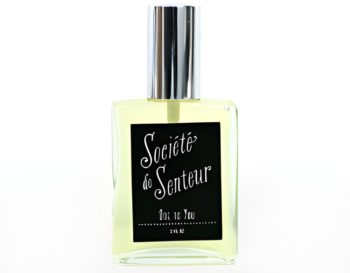Ode to You by West Third Brand perfume bottle