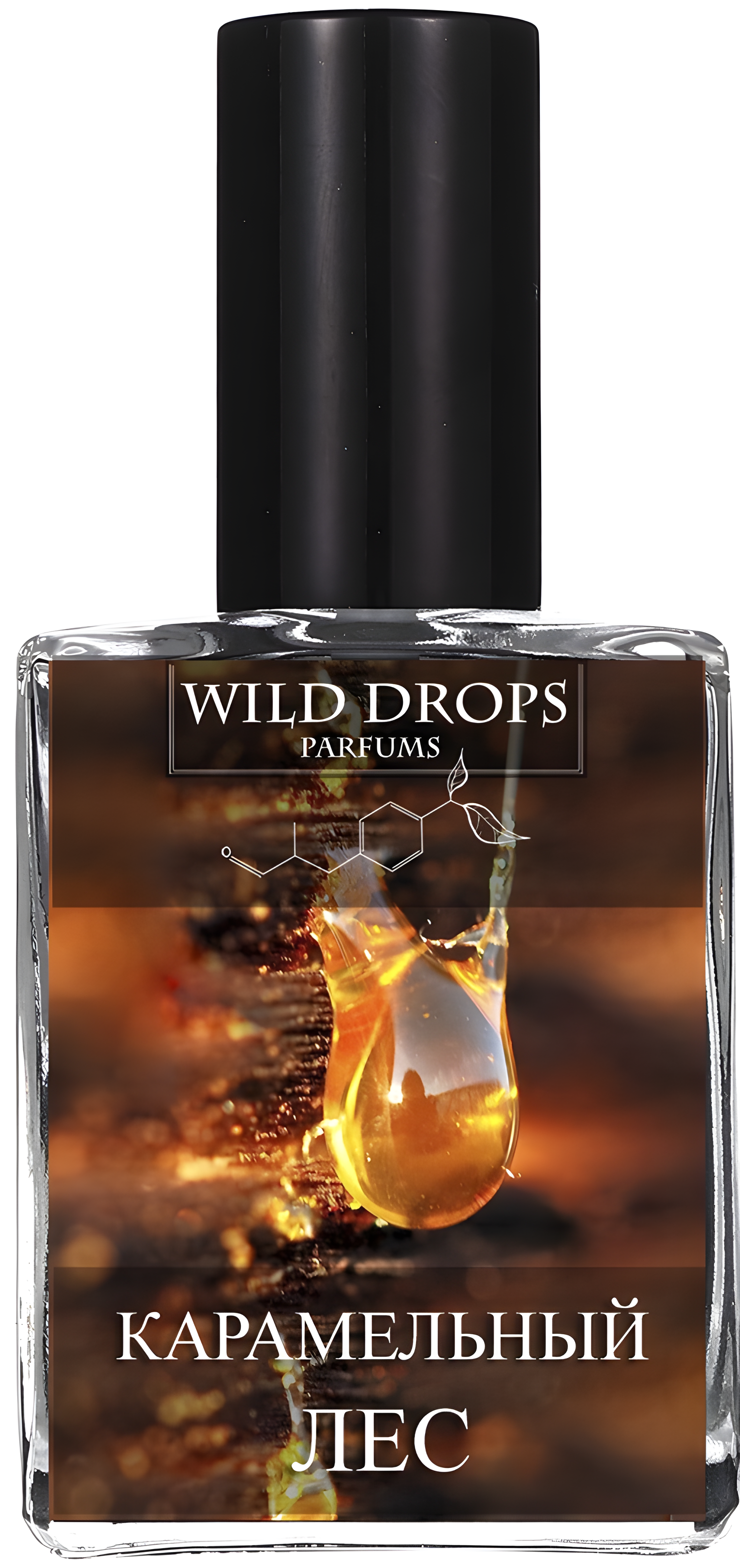 Caramel Forest (Карамельный Лес) by Wild Drops Parfums perfume bottle