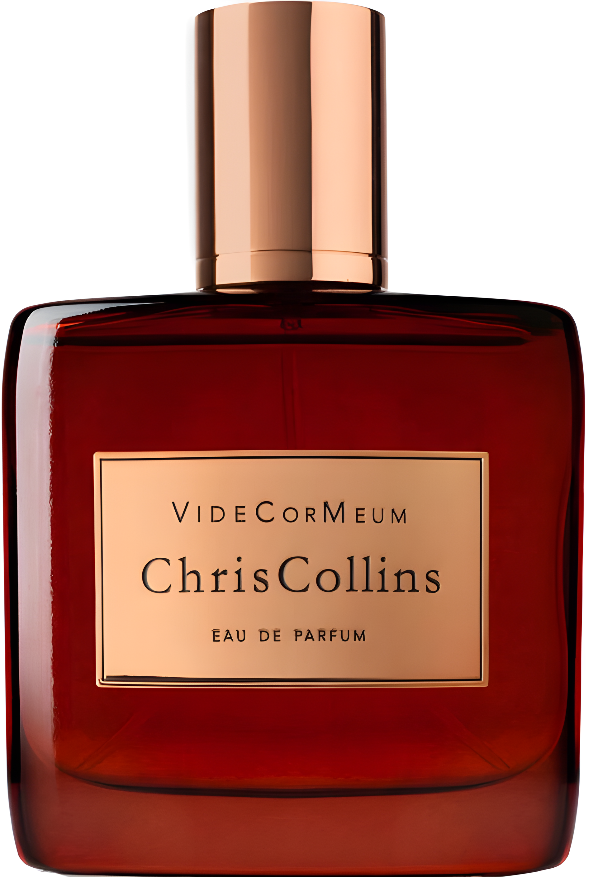 VideCorMeum by Chris Collins perfume bottle