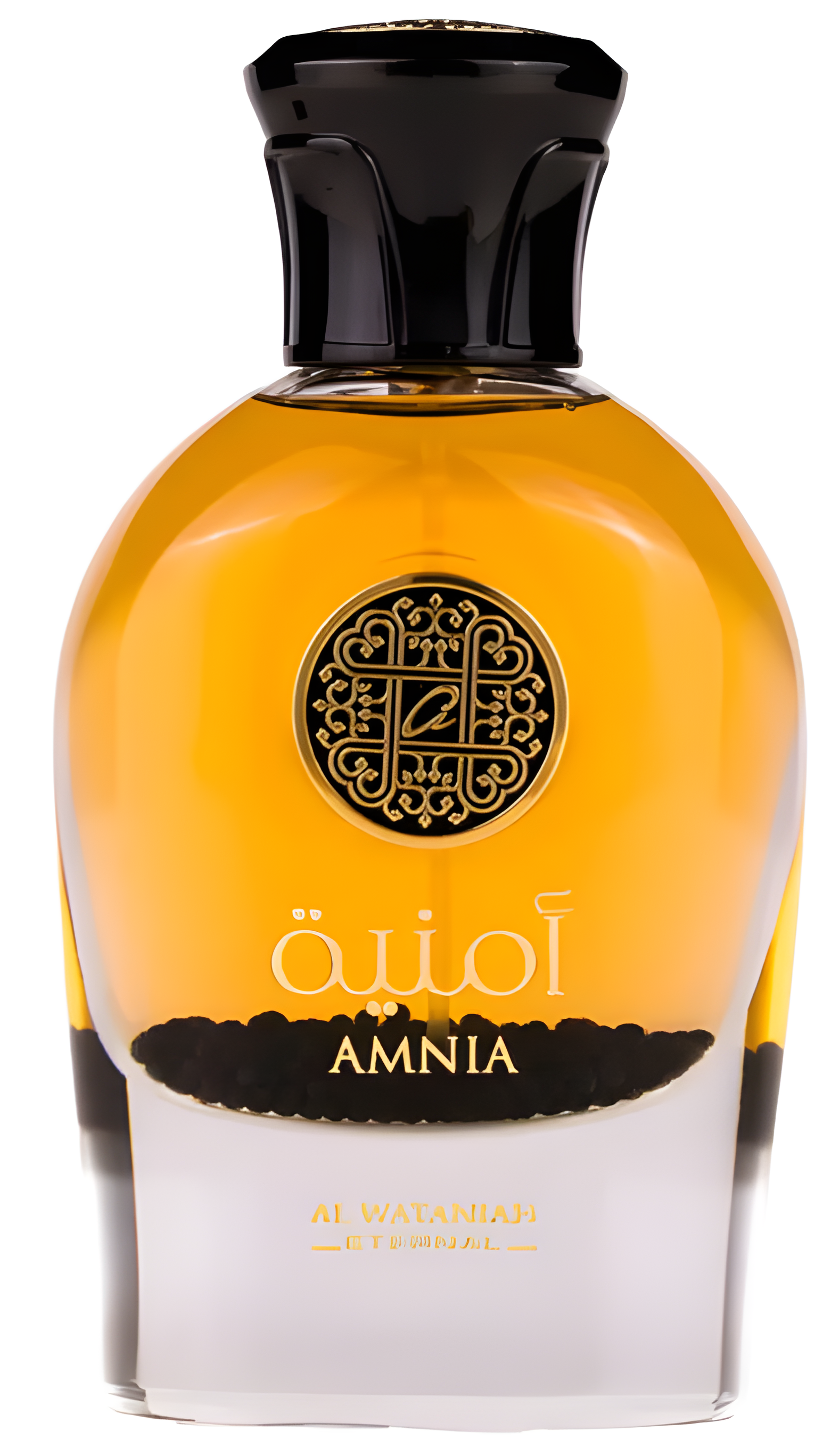 Amnia by Al Wataniah perfume bottle