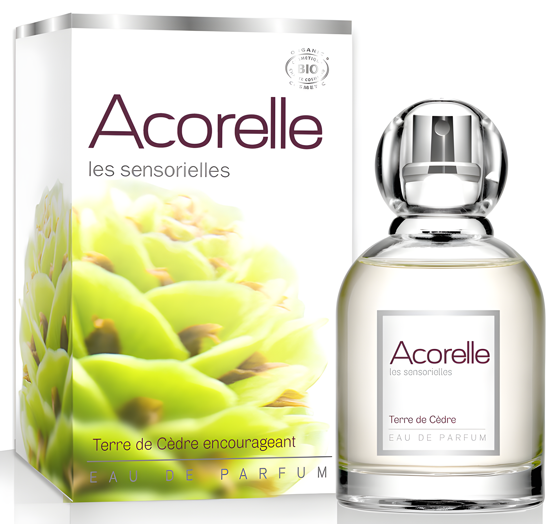 Terre de Cèdre by Acorelle perfume bottle