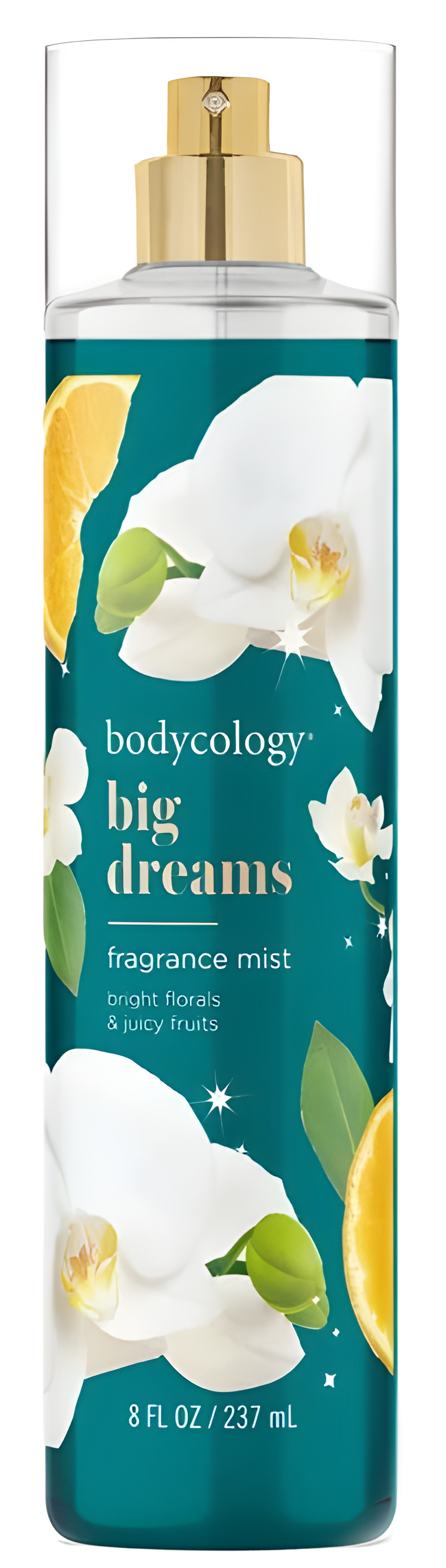Big Dreams by Bodycology perfume bottle