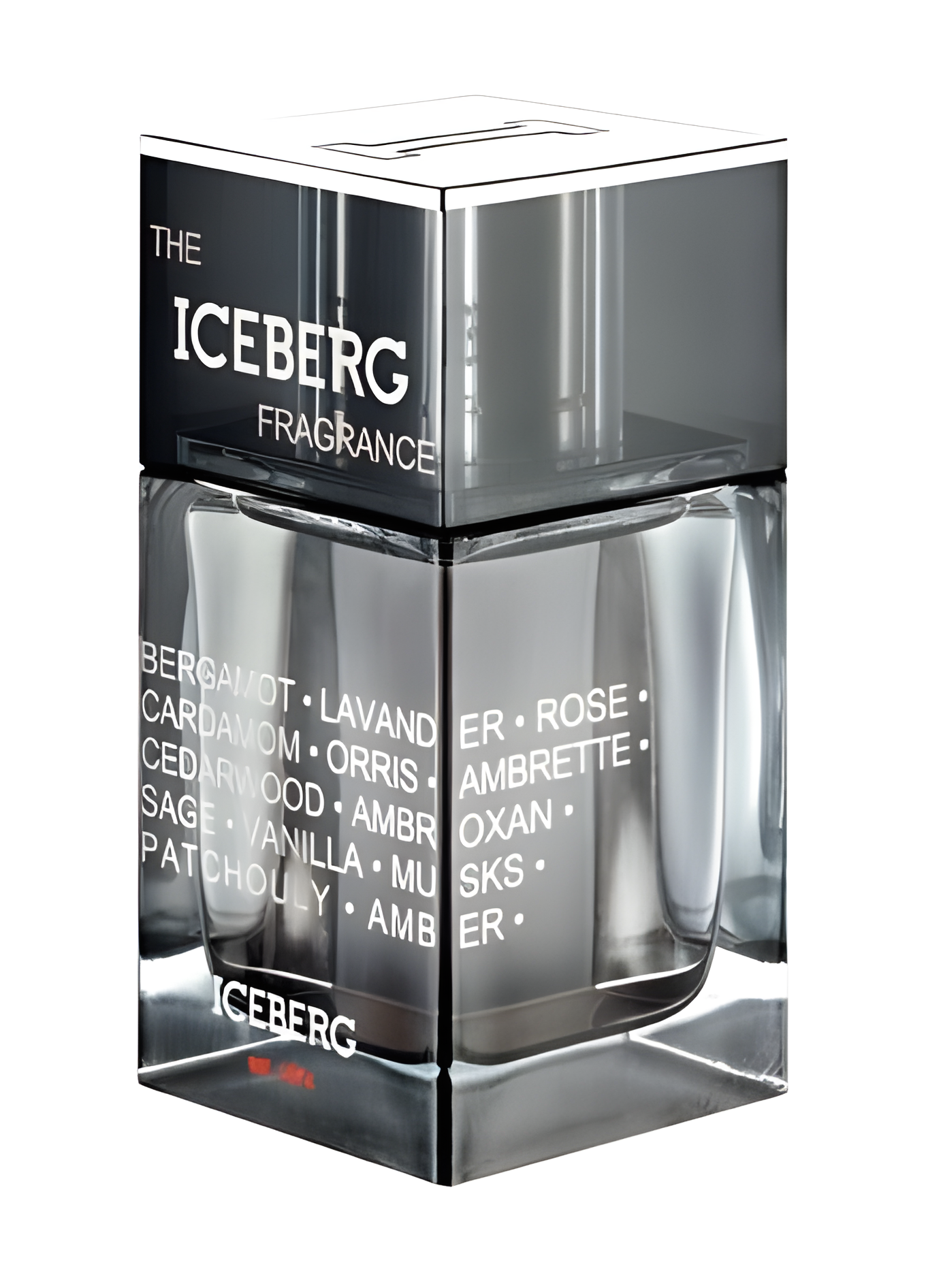The Iceberg Fragrance for Men by Iceberg perfume bottle