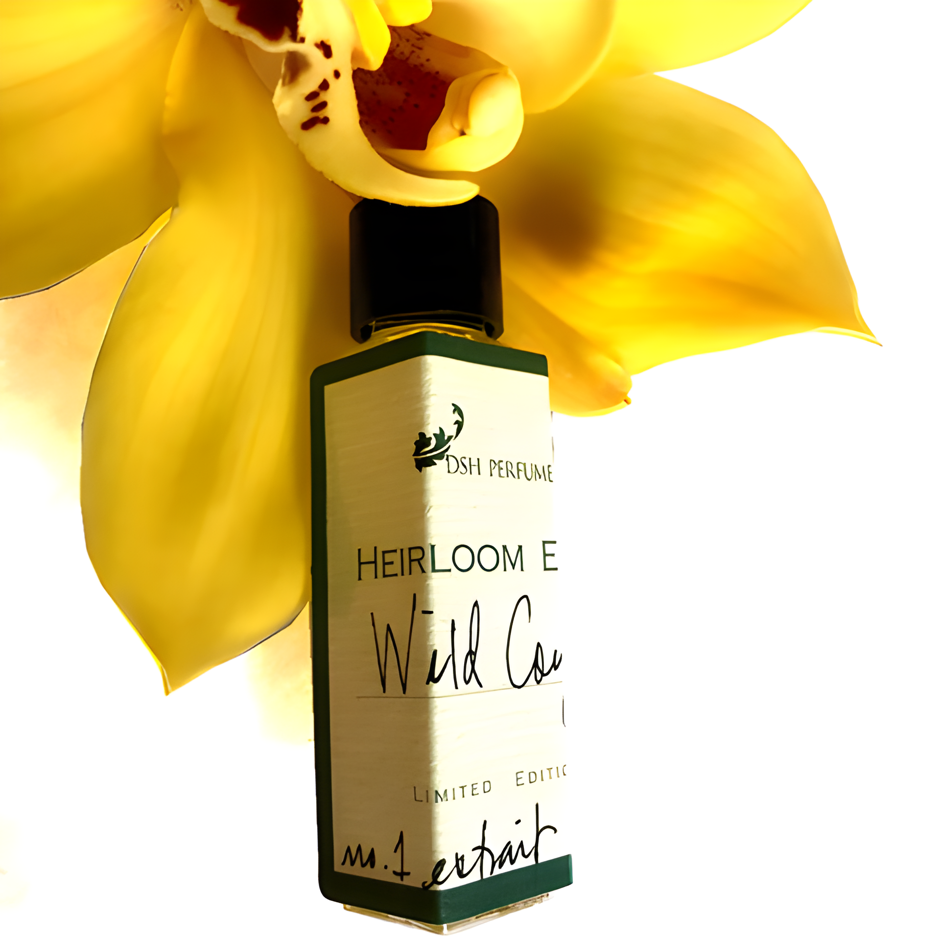 Wild Coyote by DSH Perfumes perfume bottle