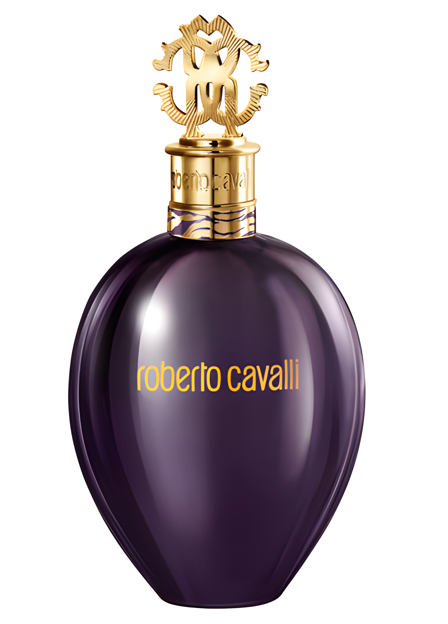 Oud Al Qasr by Roberto Cavalli perfume bottle
