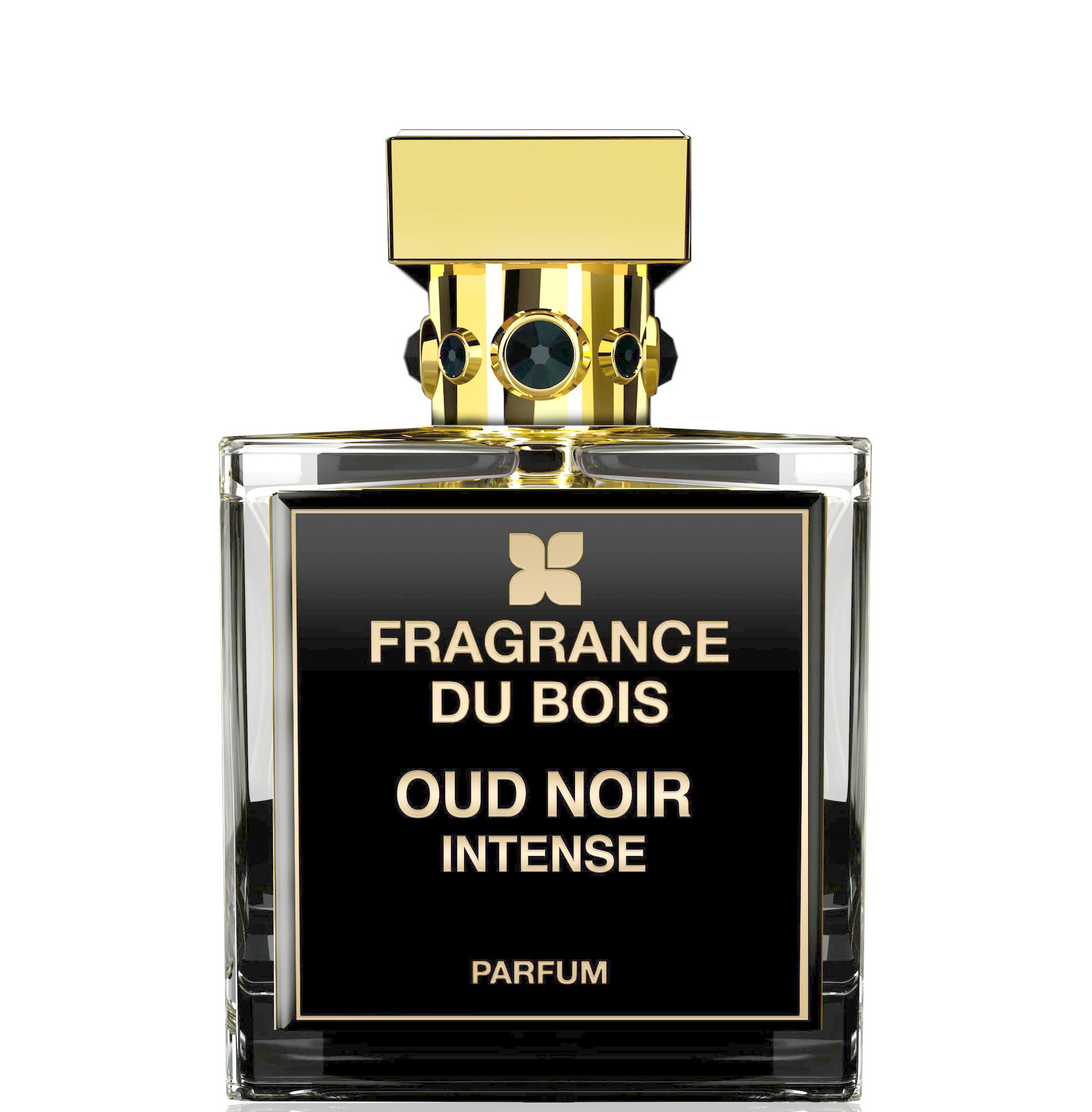 Oud Noir Intense by Fragrance Du Bois perfume bottle