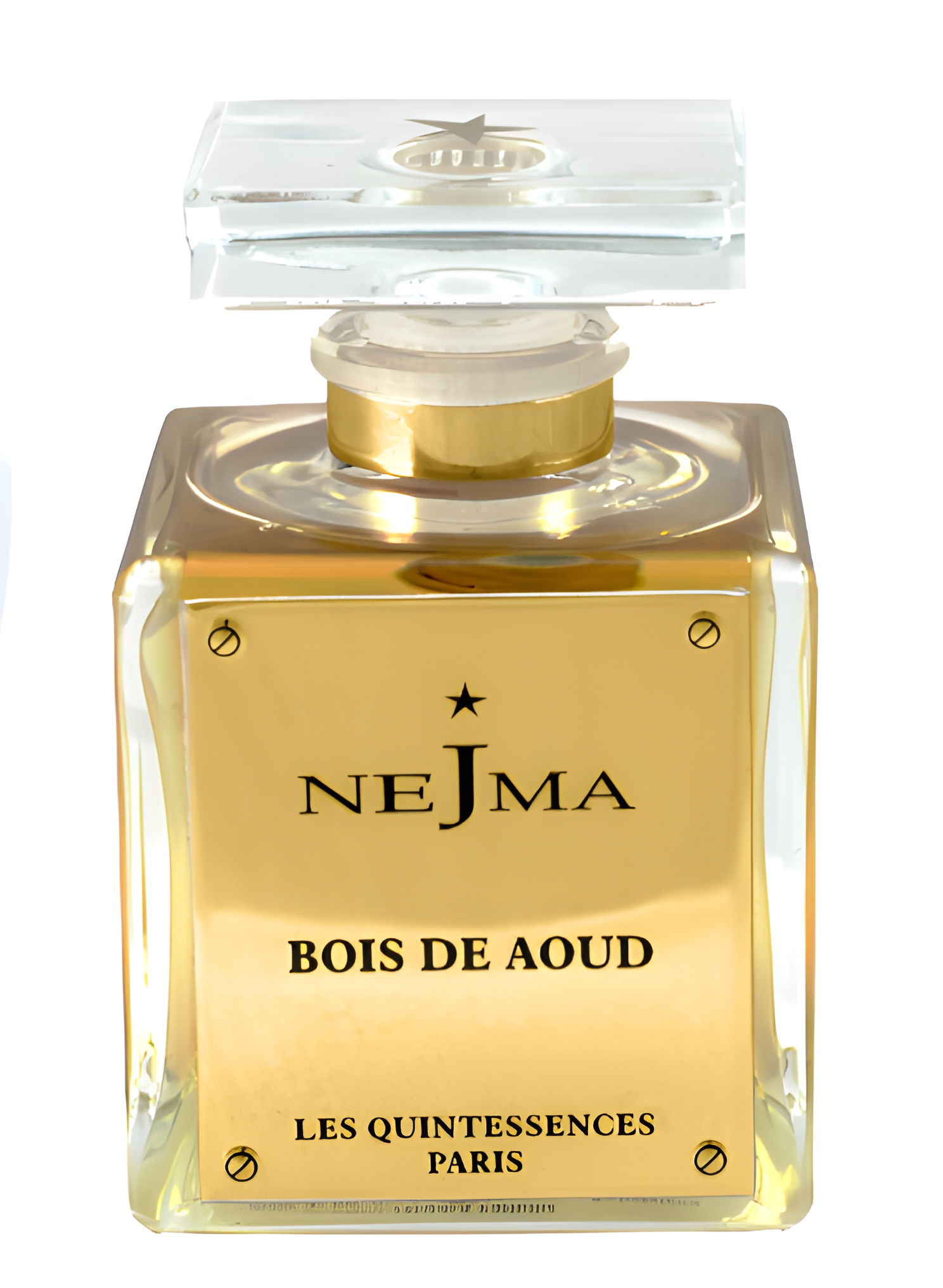 Bois de Aoud by Nejma perfume bottle